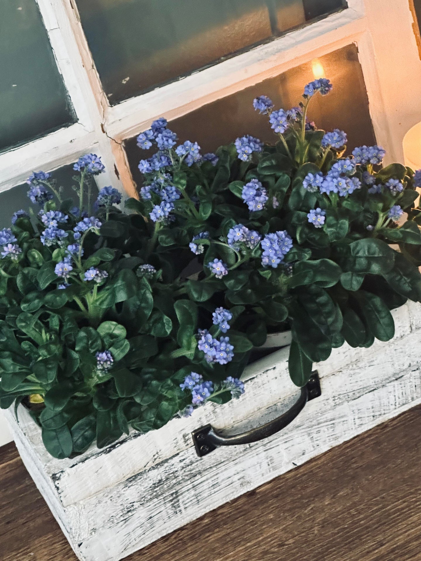 Planteringslåda - Vit