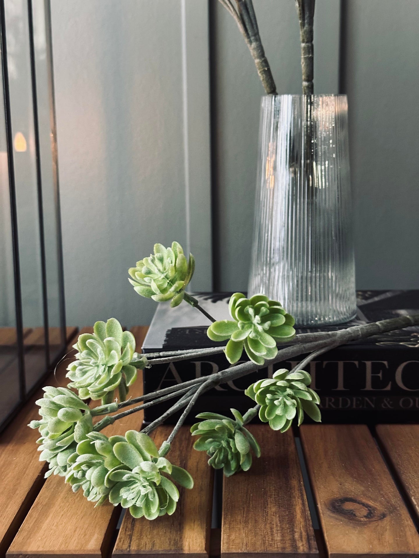 Suckulent på stjälk