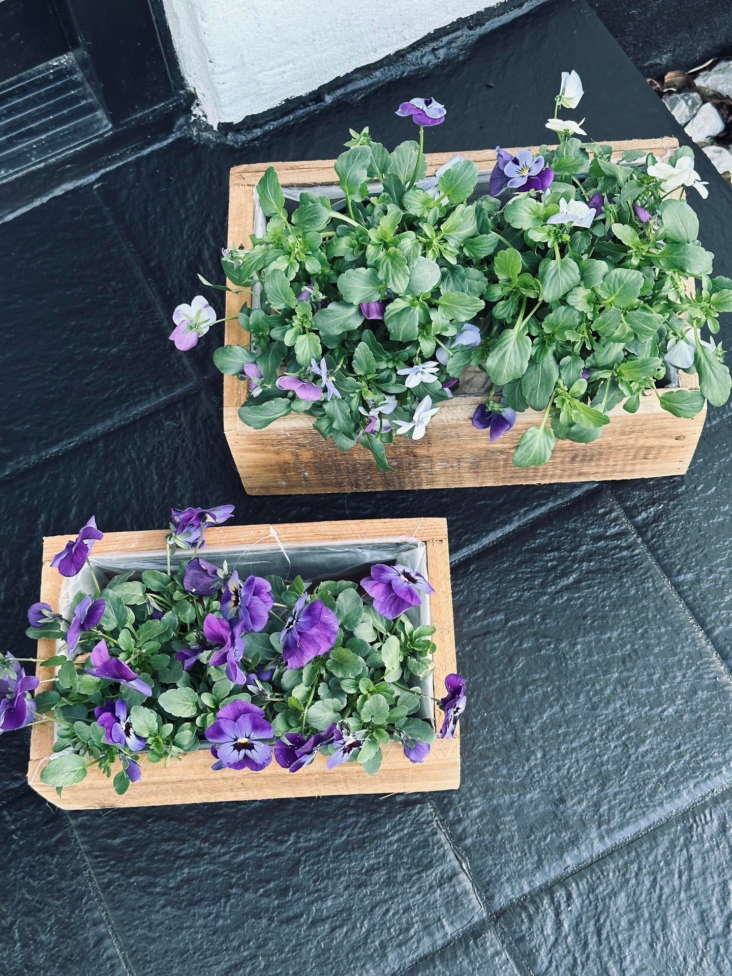 Planteringslådor - Set med 2 st