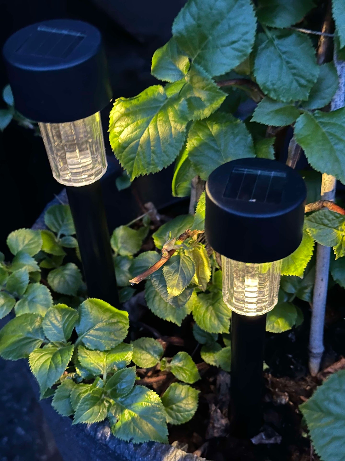 Fakkel Effekt Black – Set med 4 st