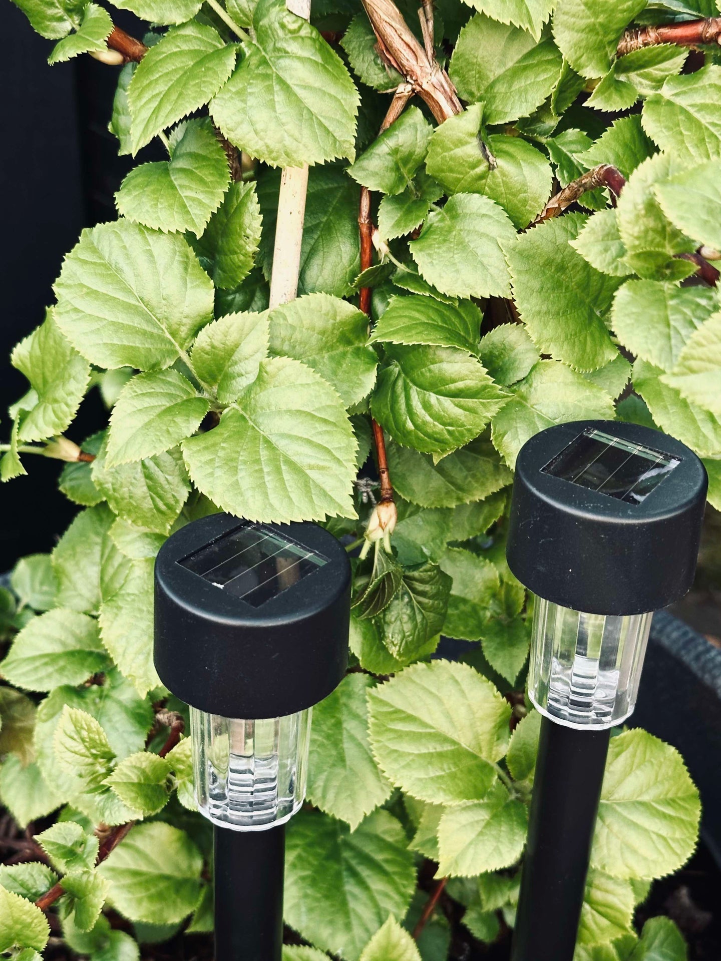 Fakkel Effekt Black – Set med 4 st