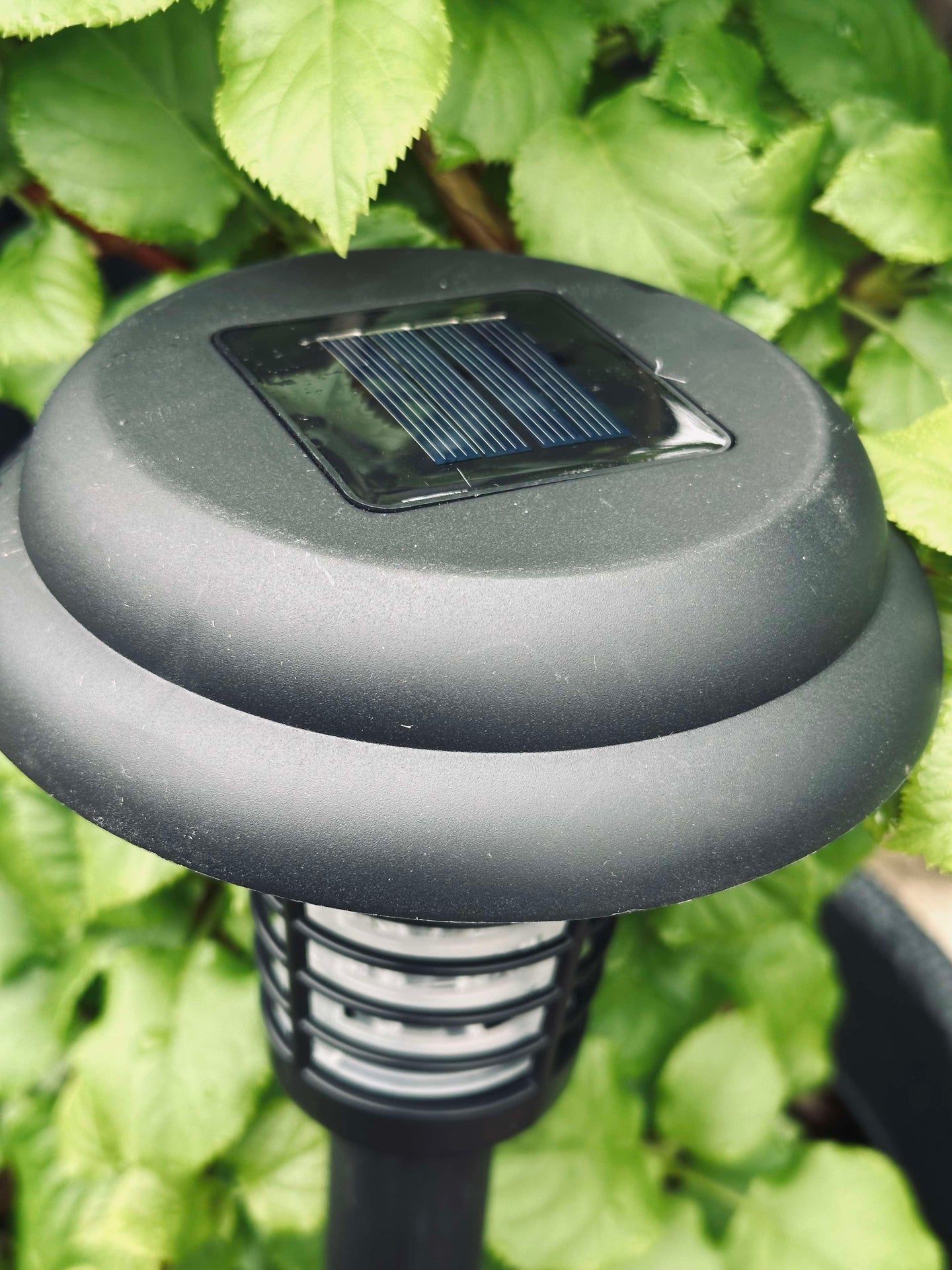 Fackla MOSQUITO 2IN1 SOLAR