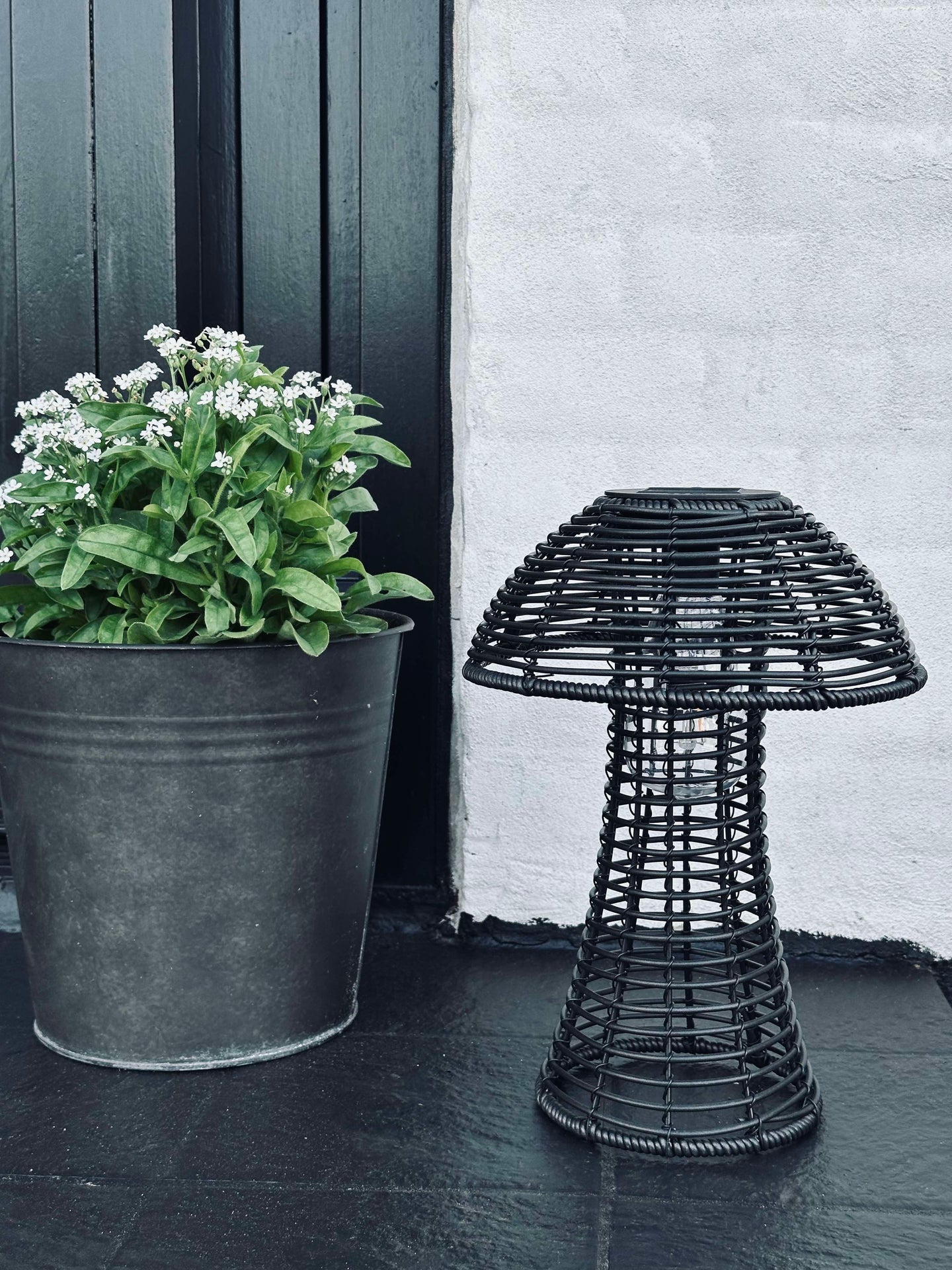 Svamp Solcell - Svart Liten