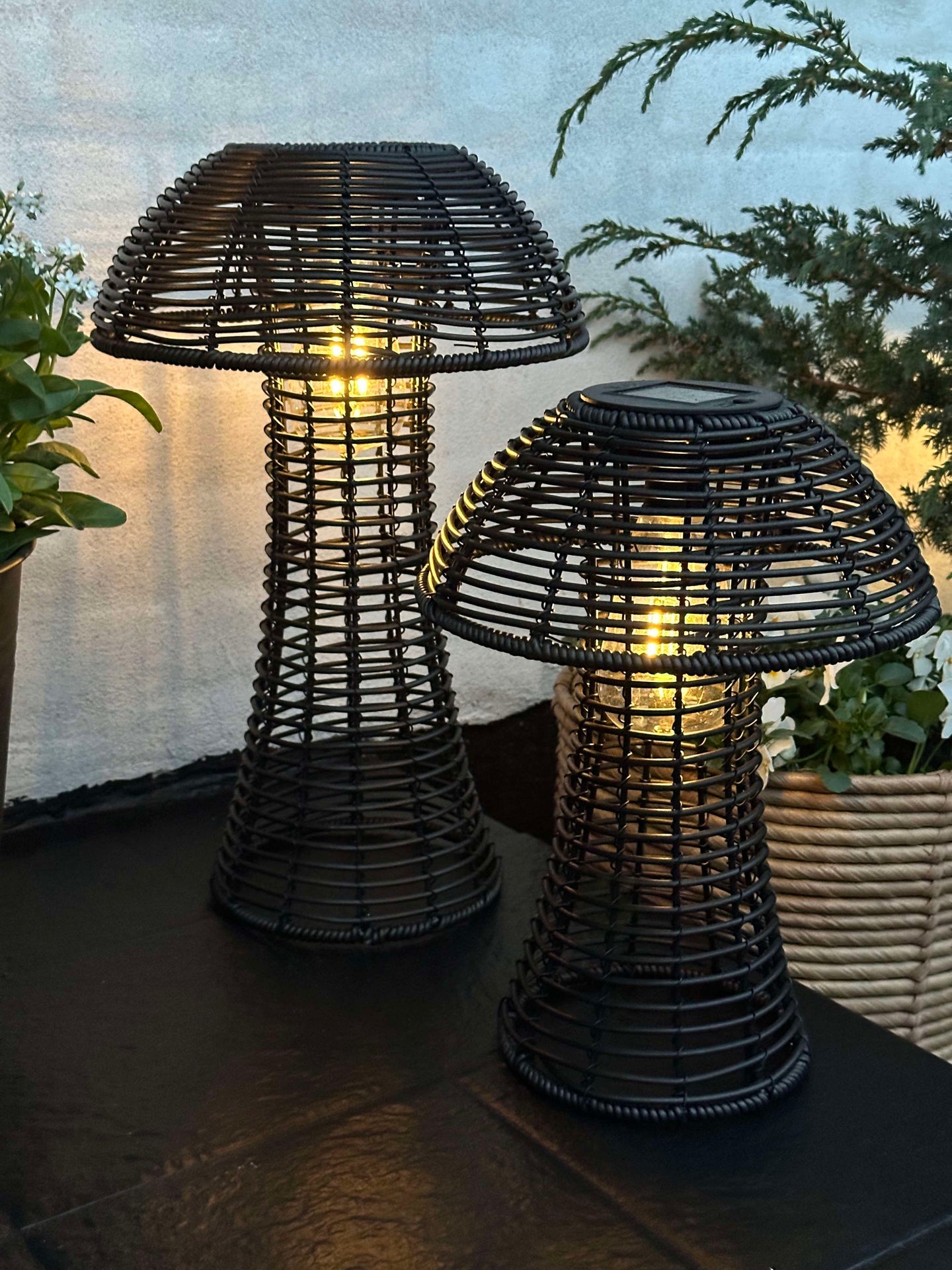 Svamp Solcellslampa - Svart Stor