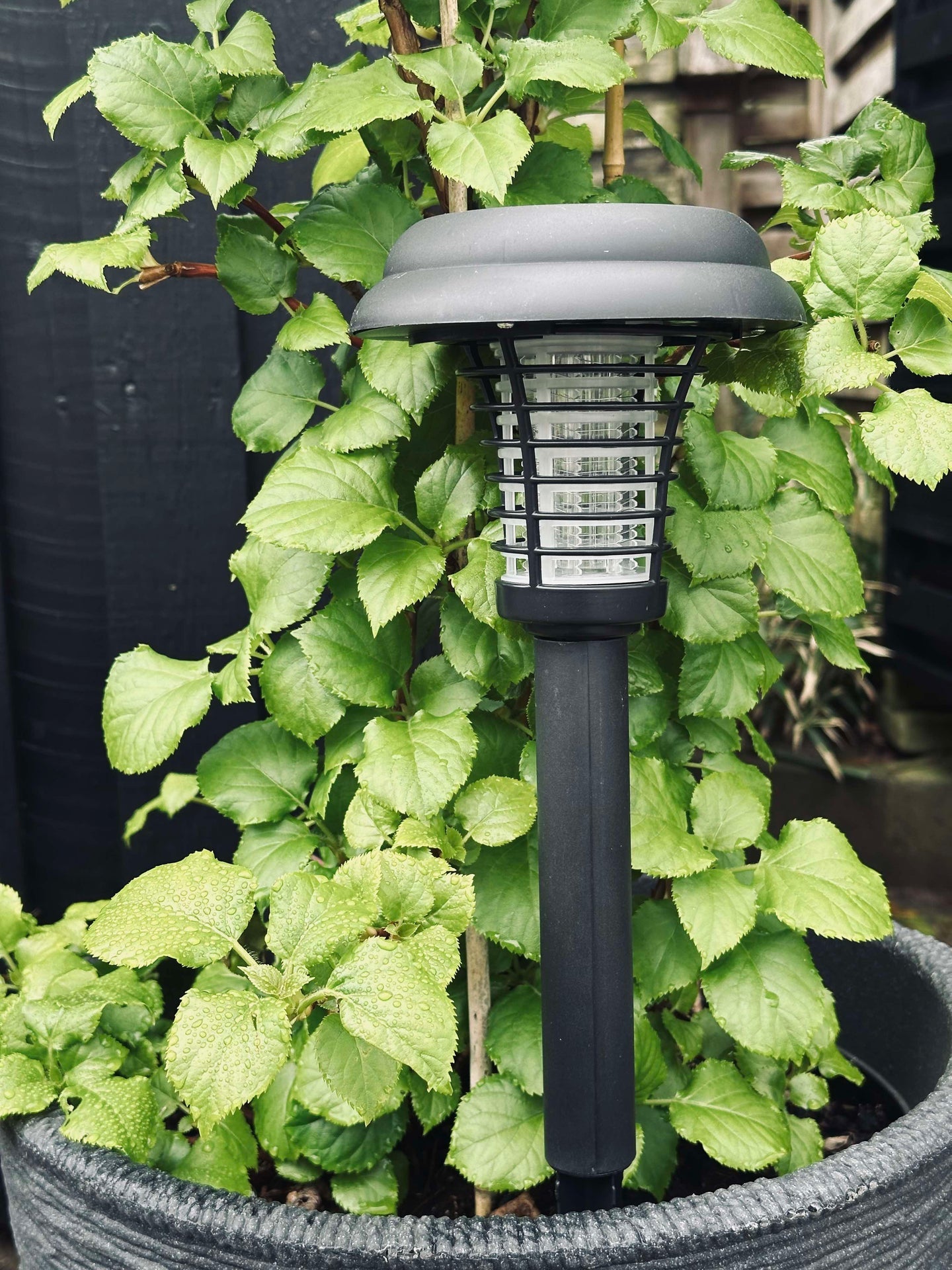 Fackla MOSQUITO 2IN1 SOLAR