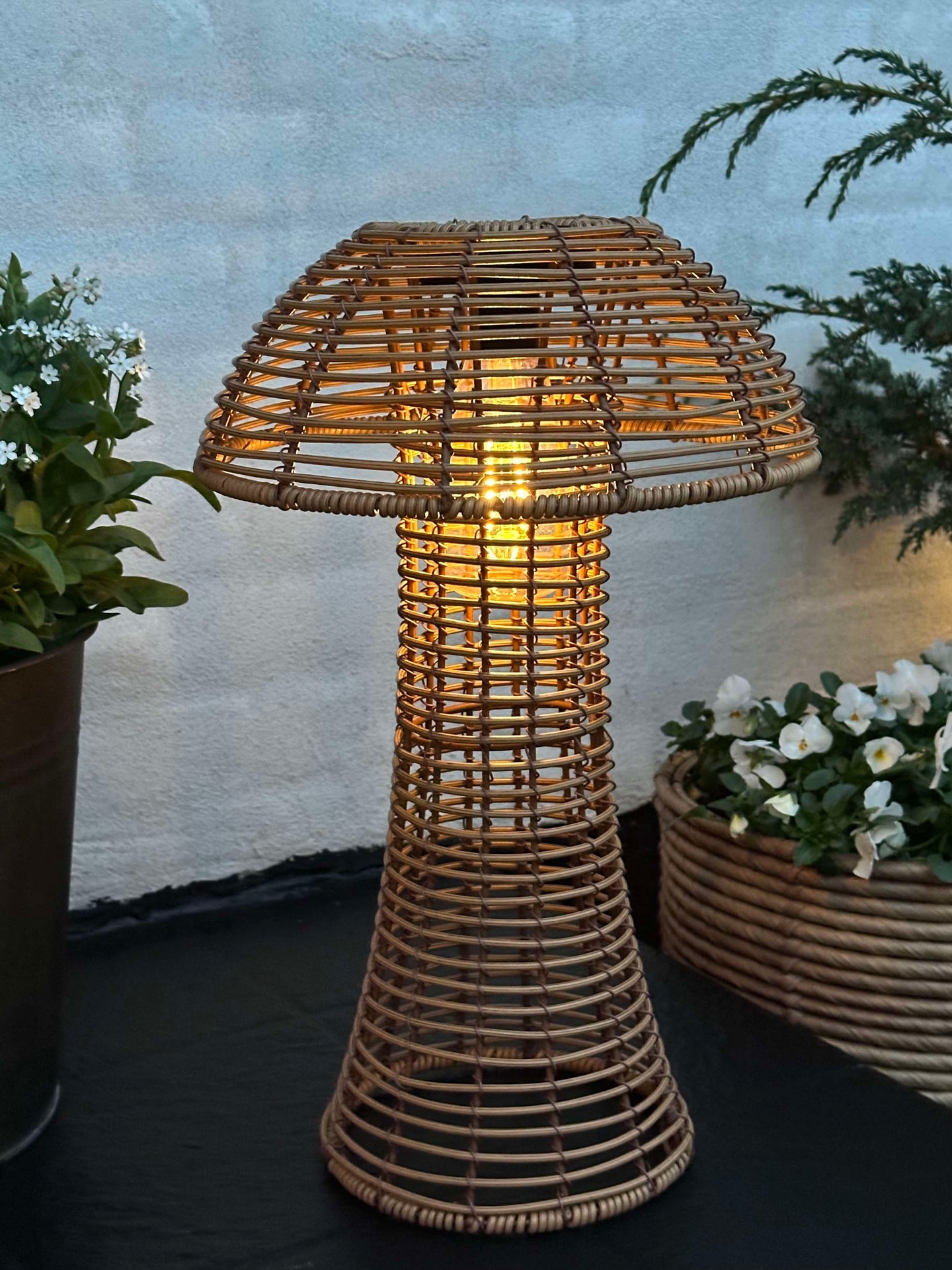 Svamp Solcell - Natur Stor