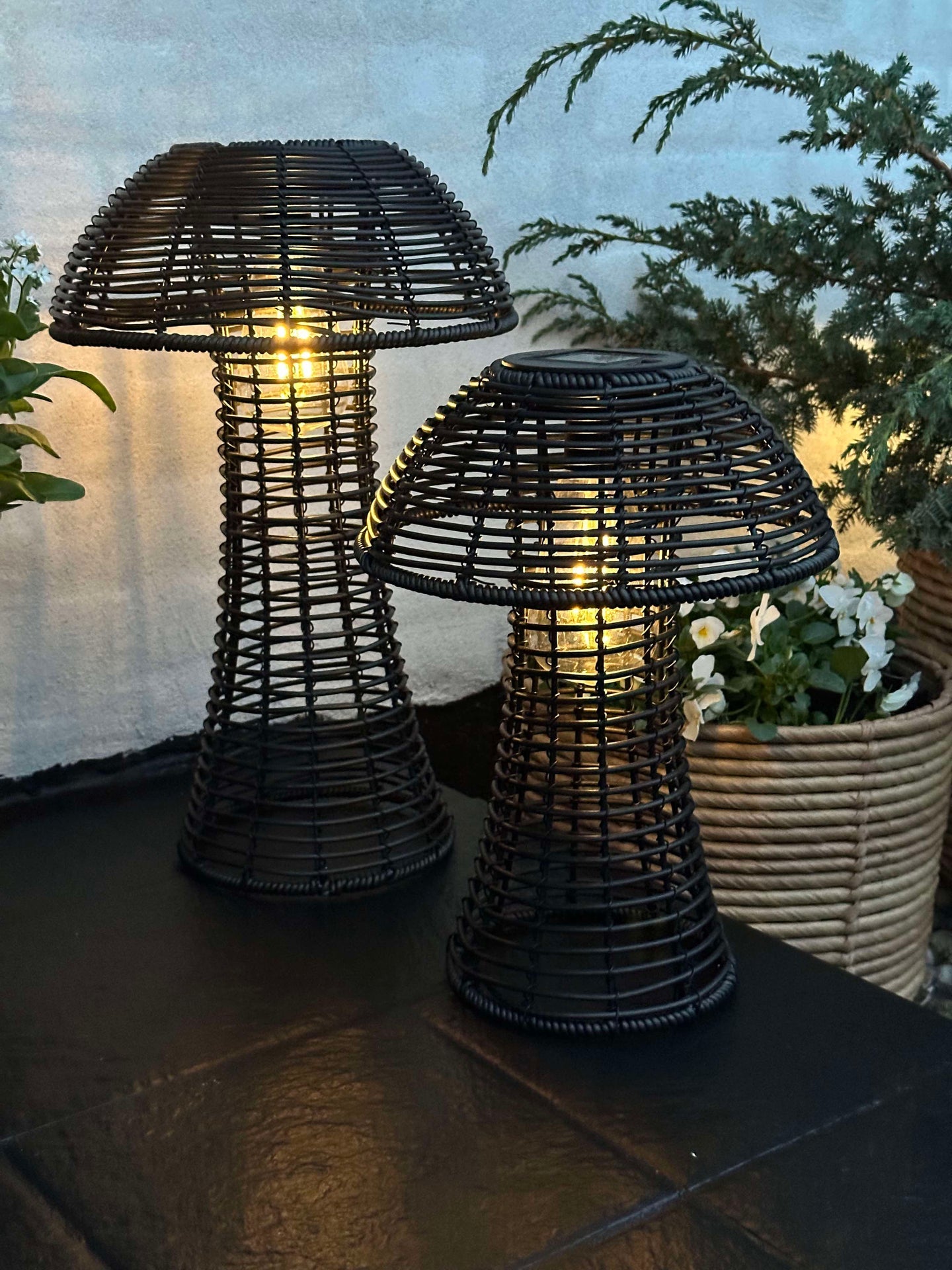 Svamp Solcell - Svart Liten