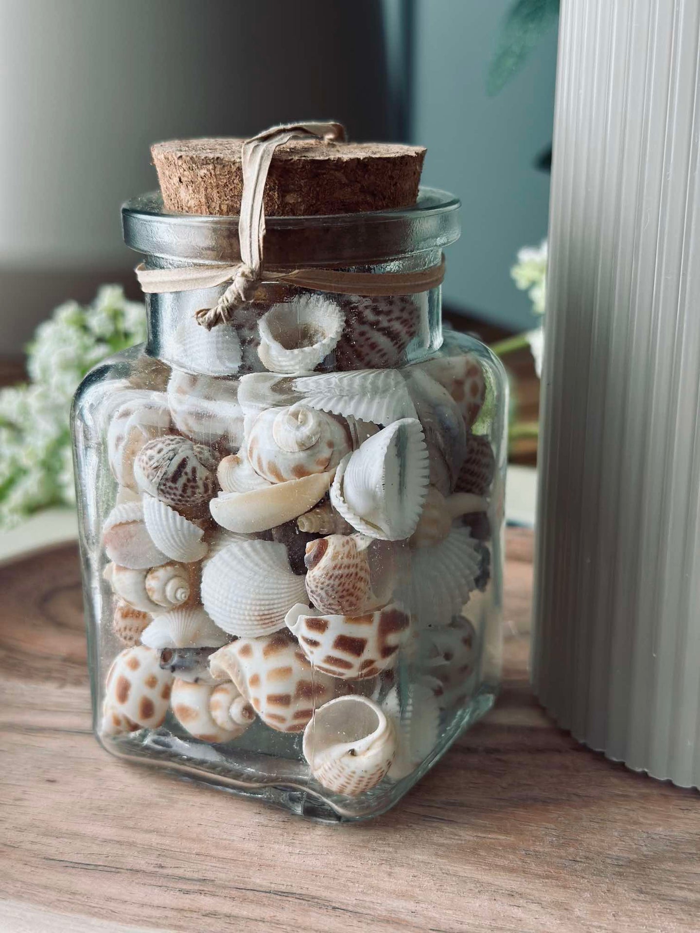 Strandskal i glas - Mix