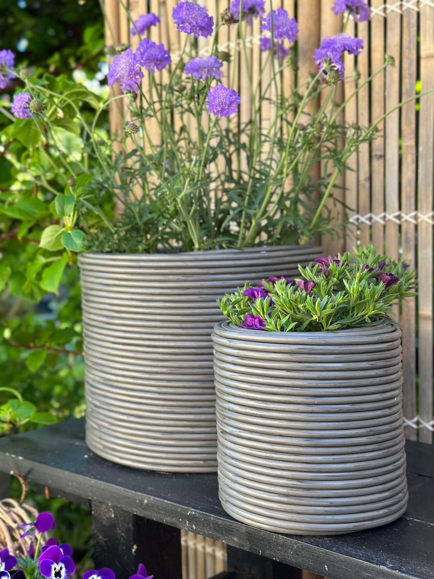 Växtkorg Grå - Set om 3 st.