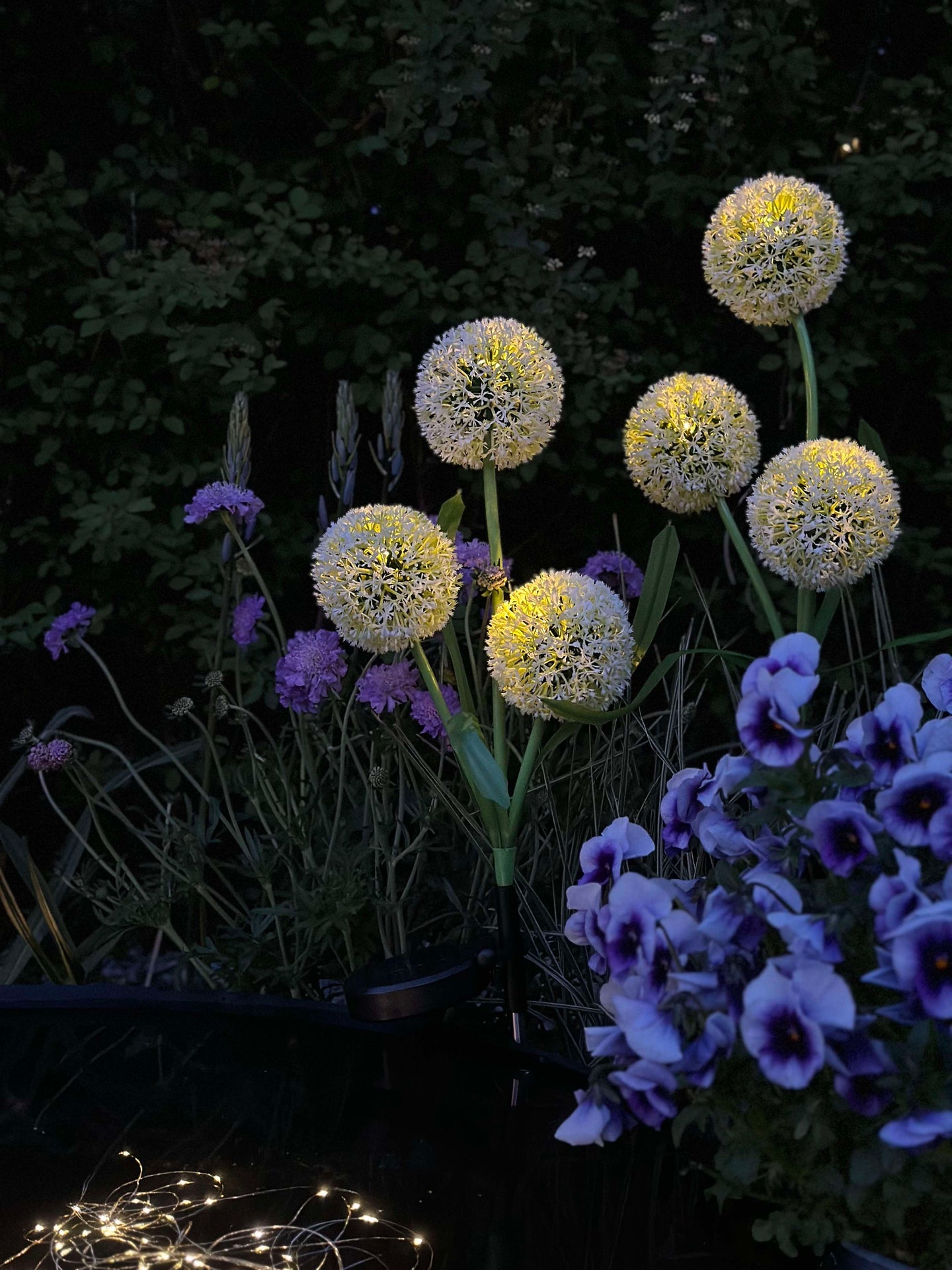 Dekorativ lök med solceller