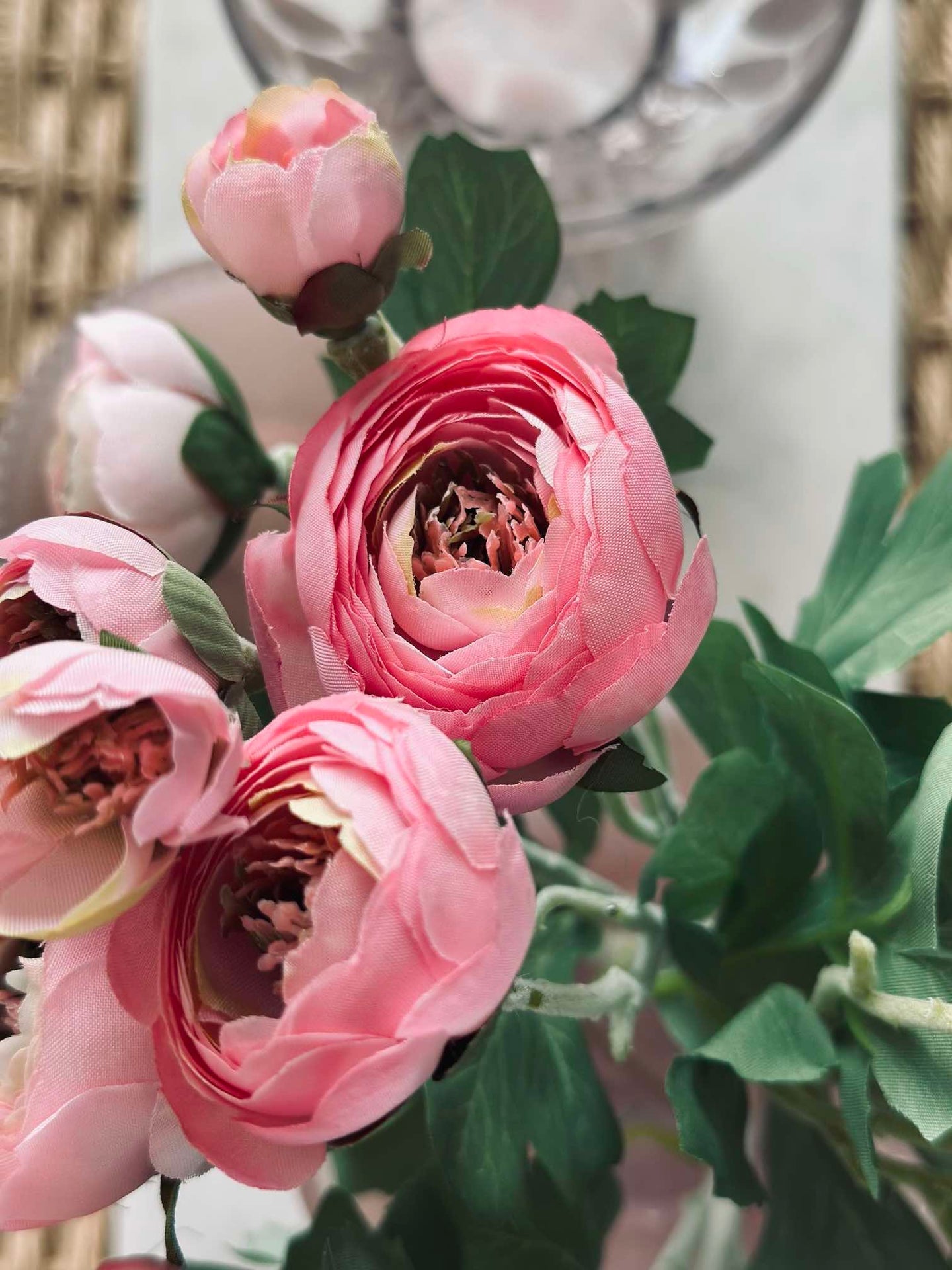 Blomma Ranunkel stjälk