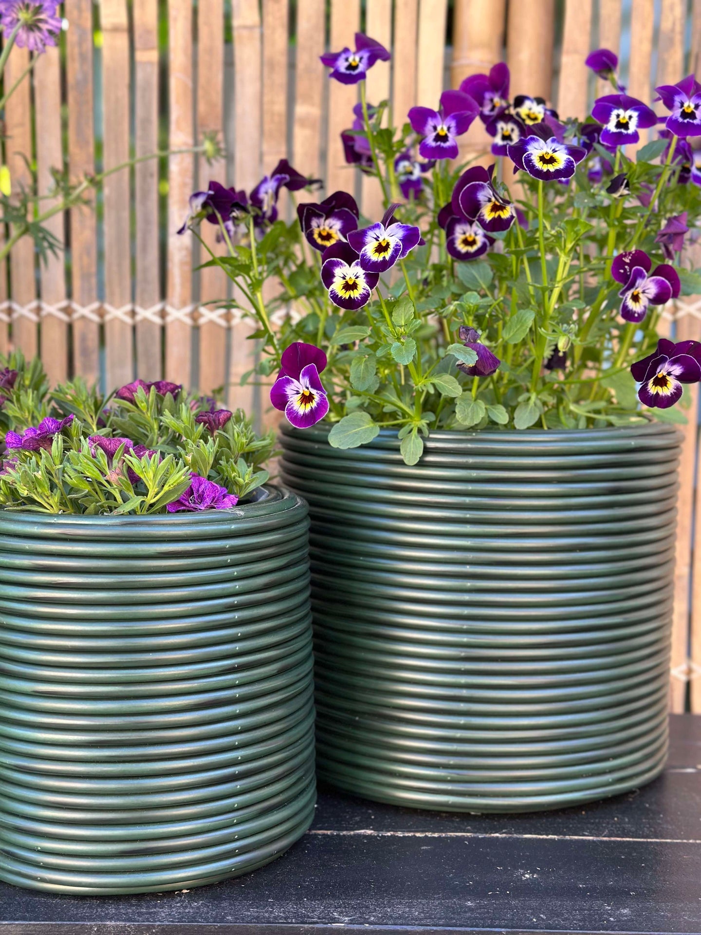 Grön Växtkorg - Set om 3 st.