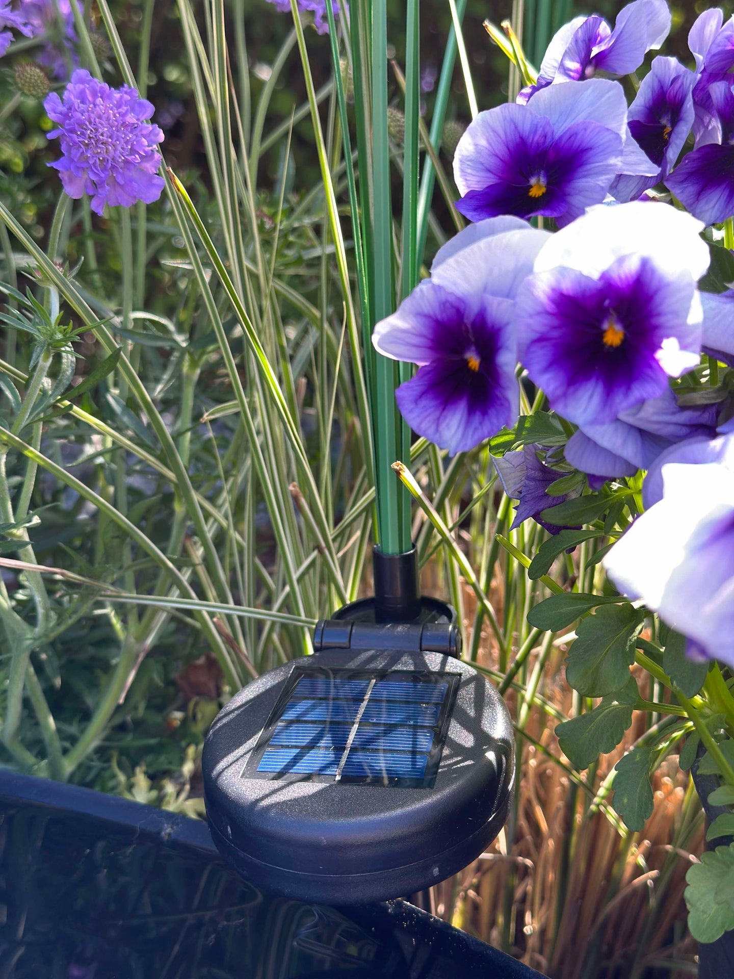 Pampas med solceller