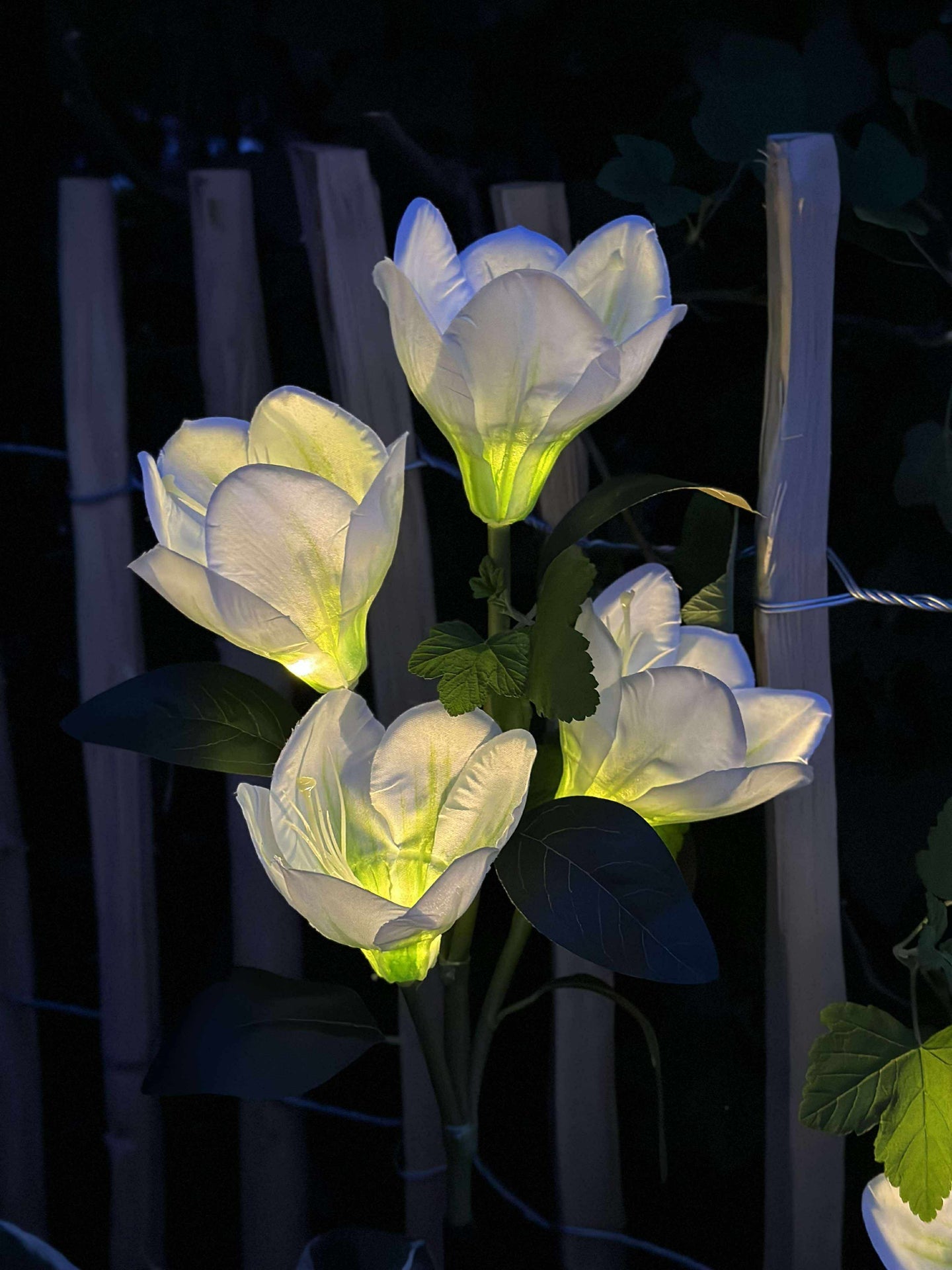 Magnolia med solceller - Vit