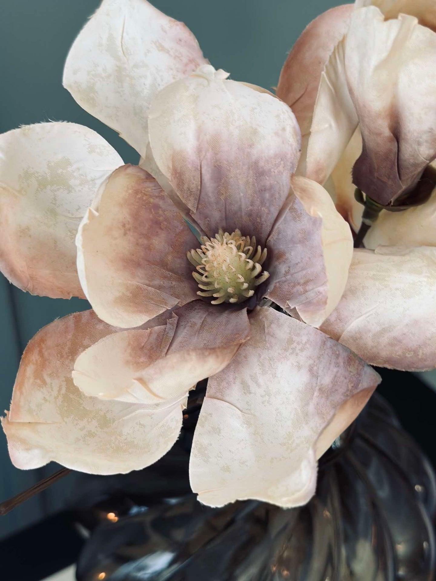 Magnolia-stjälk