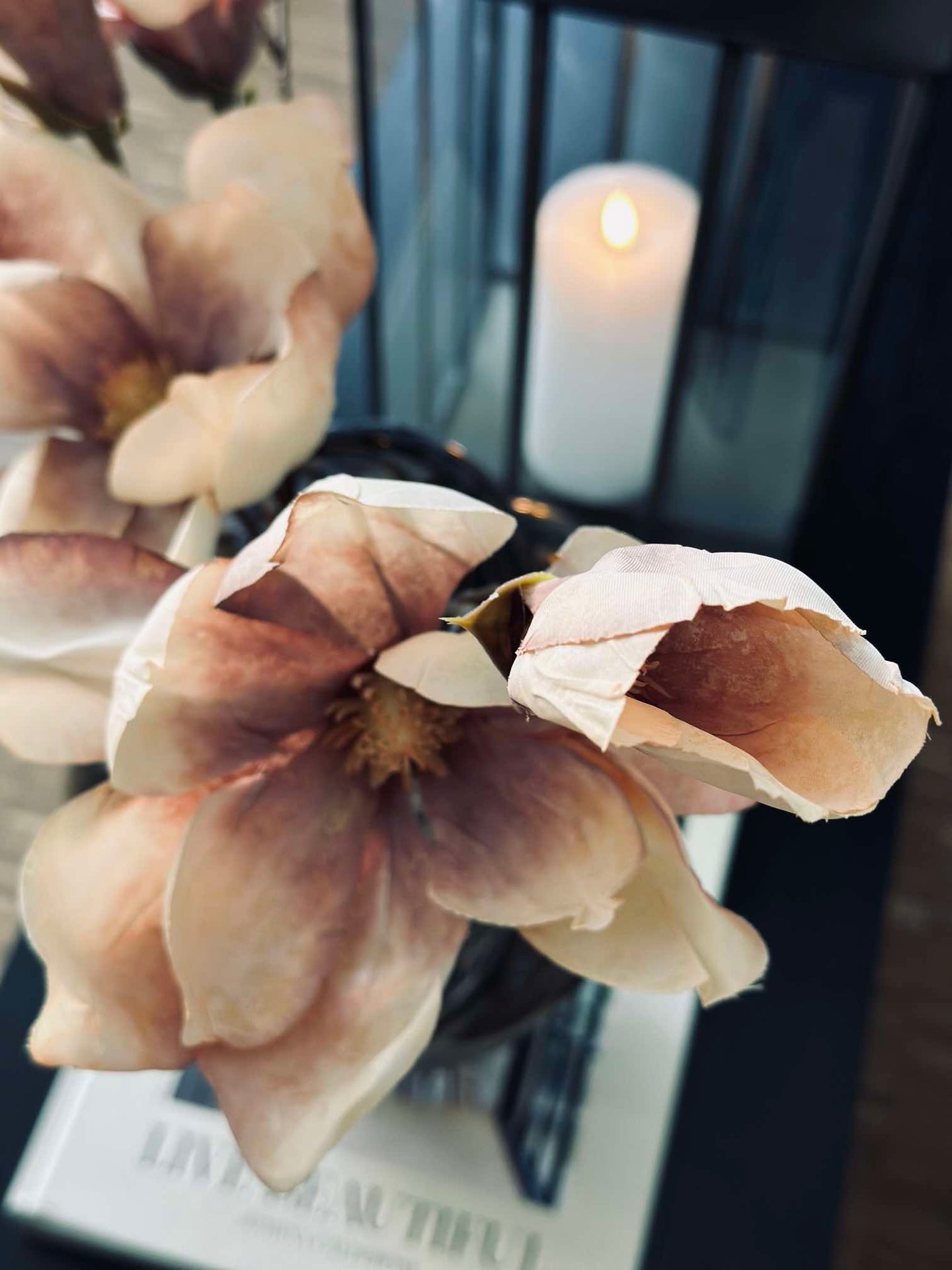 Magnolia-stjälk