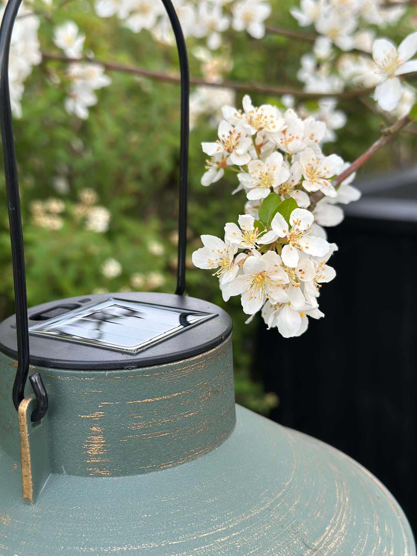 Solar lampa med upphängning - Grön / guld