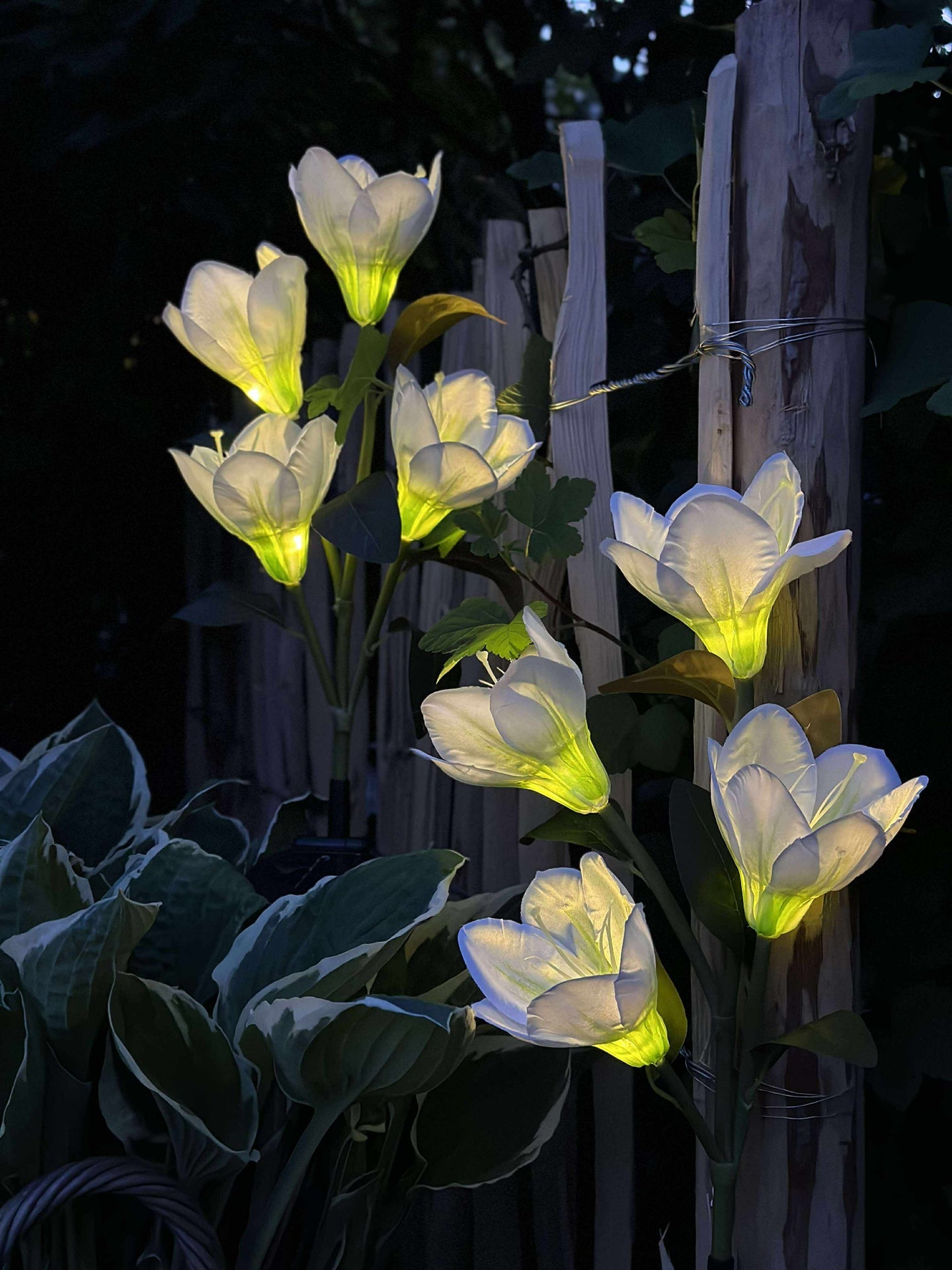 Magnolia med solceller - Vit
