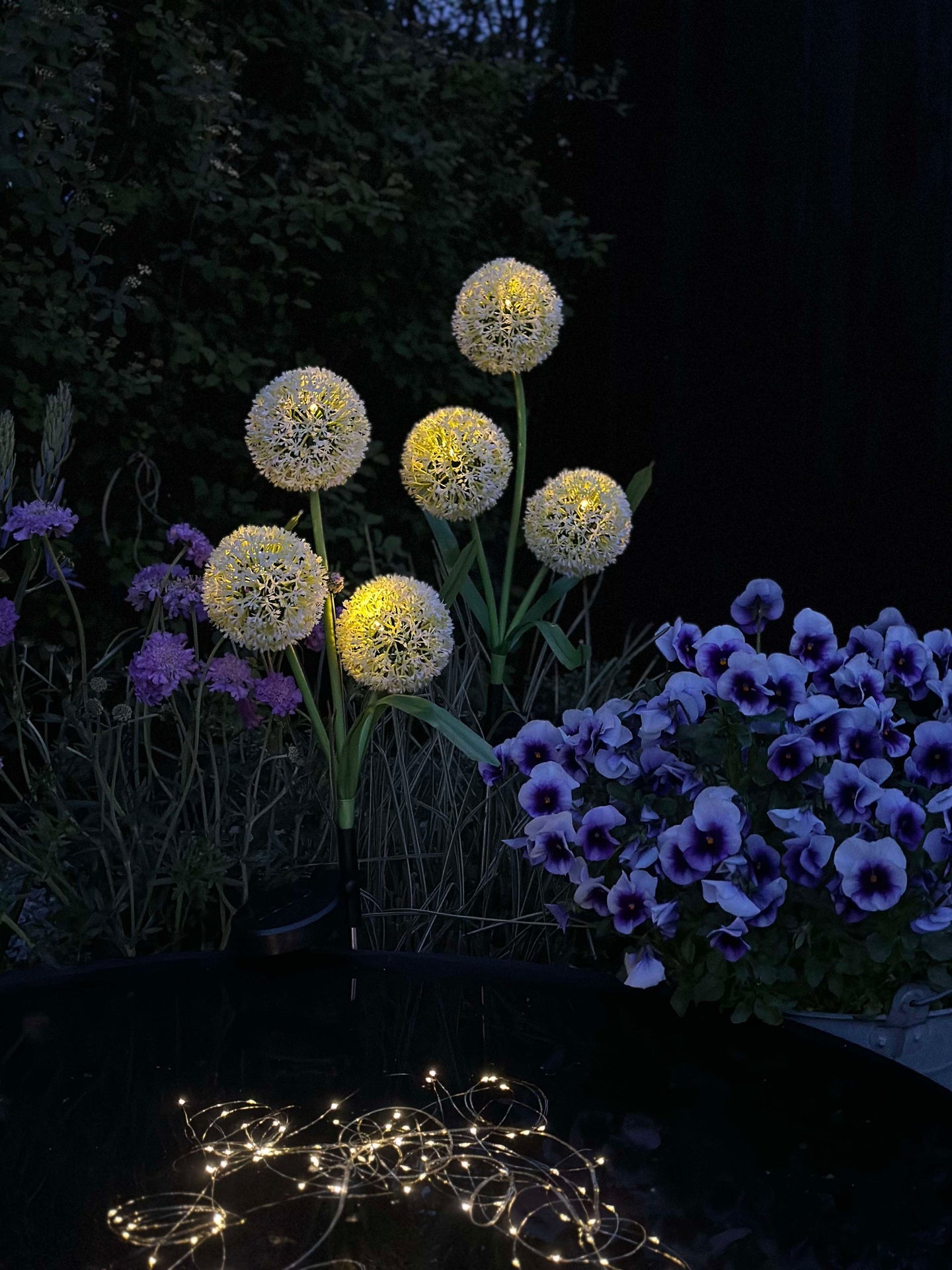 Dekorativ lök med solceller