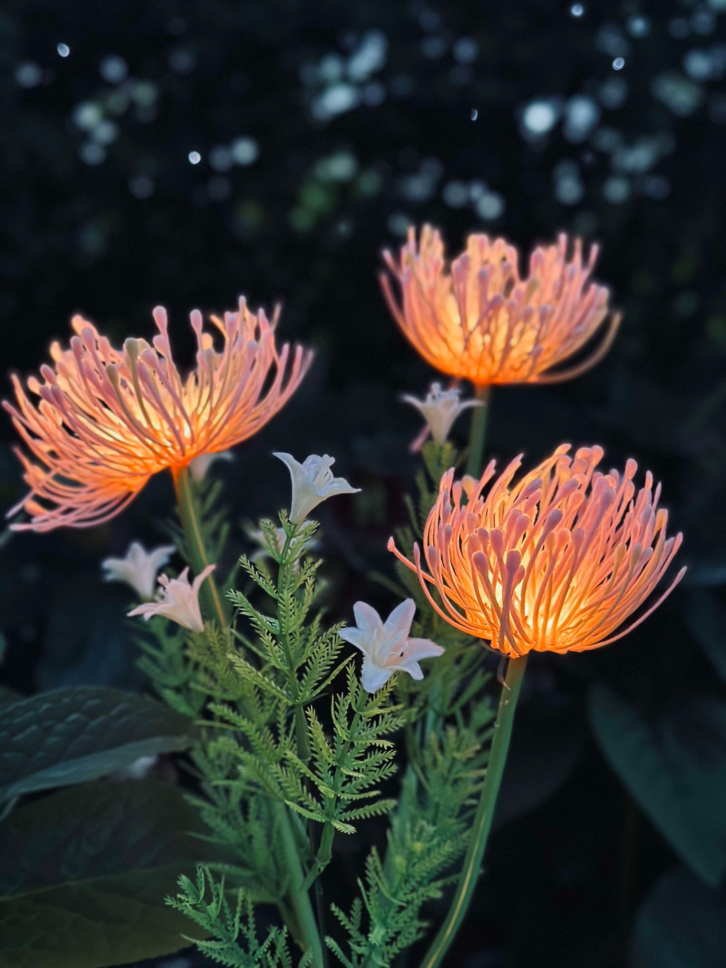 Solcellsblomma - Spindellilja ros