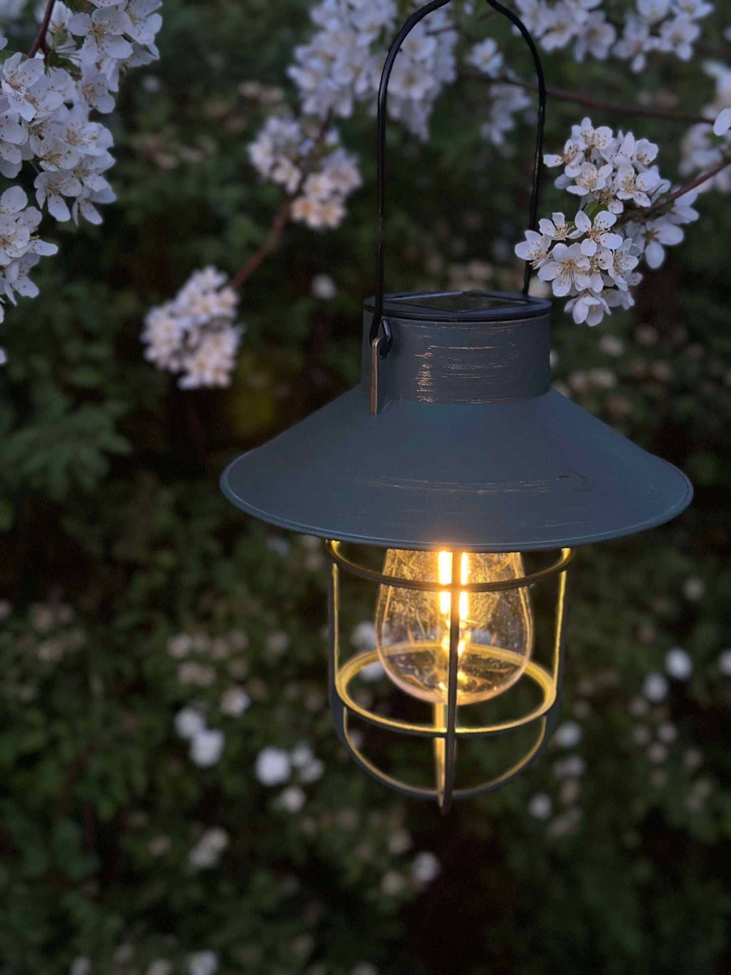 Solar lampa med upphängning - Grön / guld