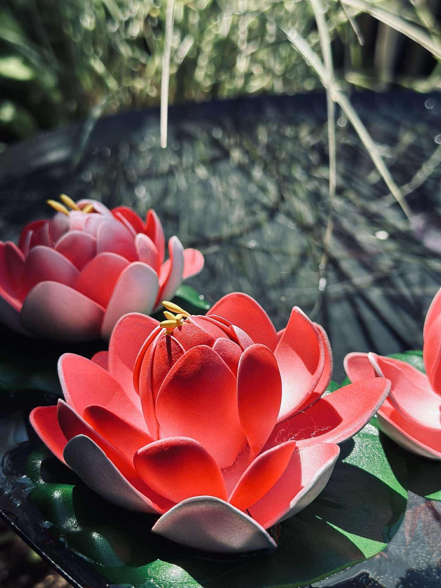 Lotus - Flera färger