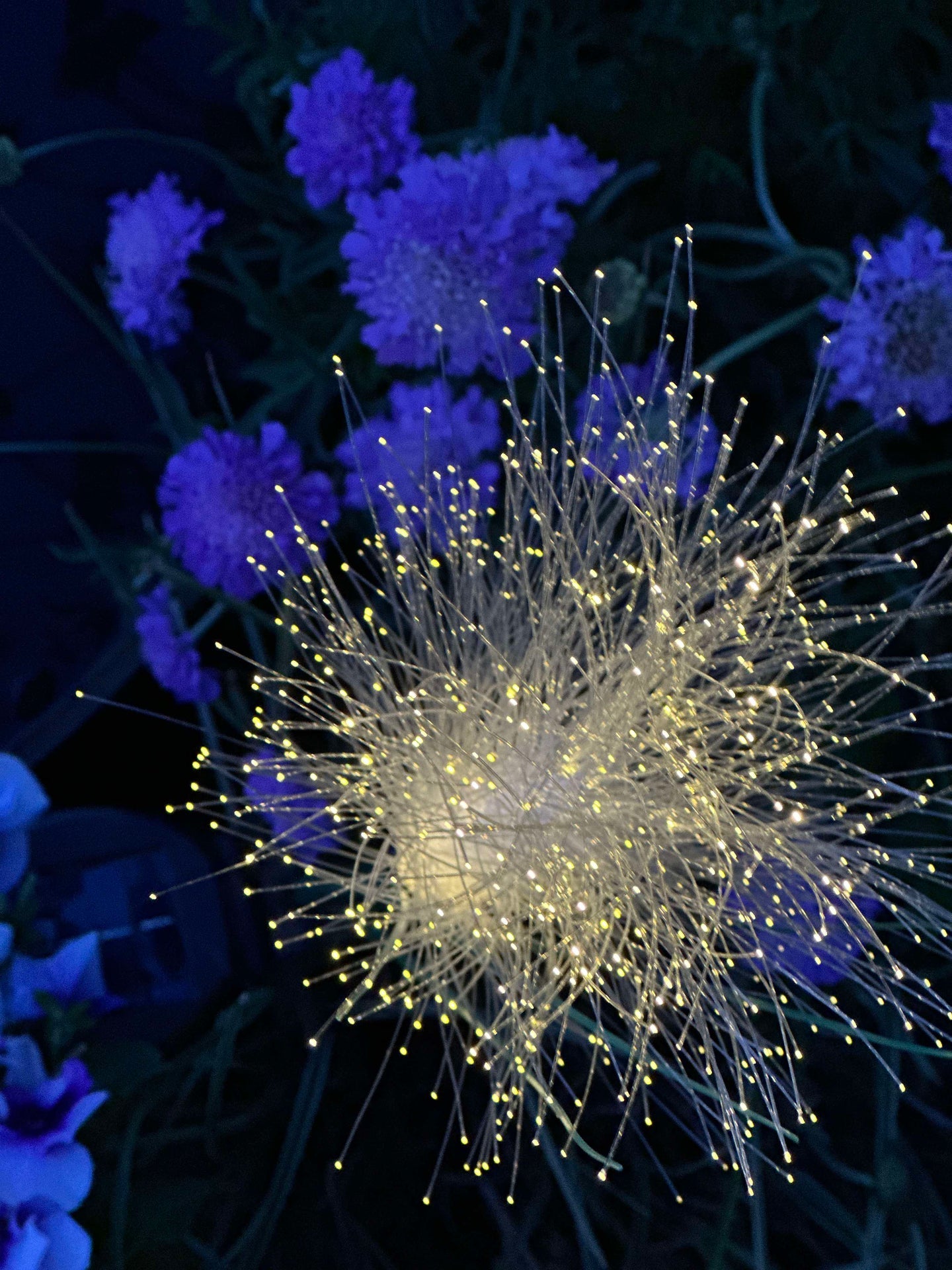 Pampas med solceller