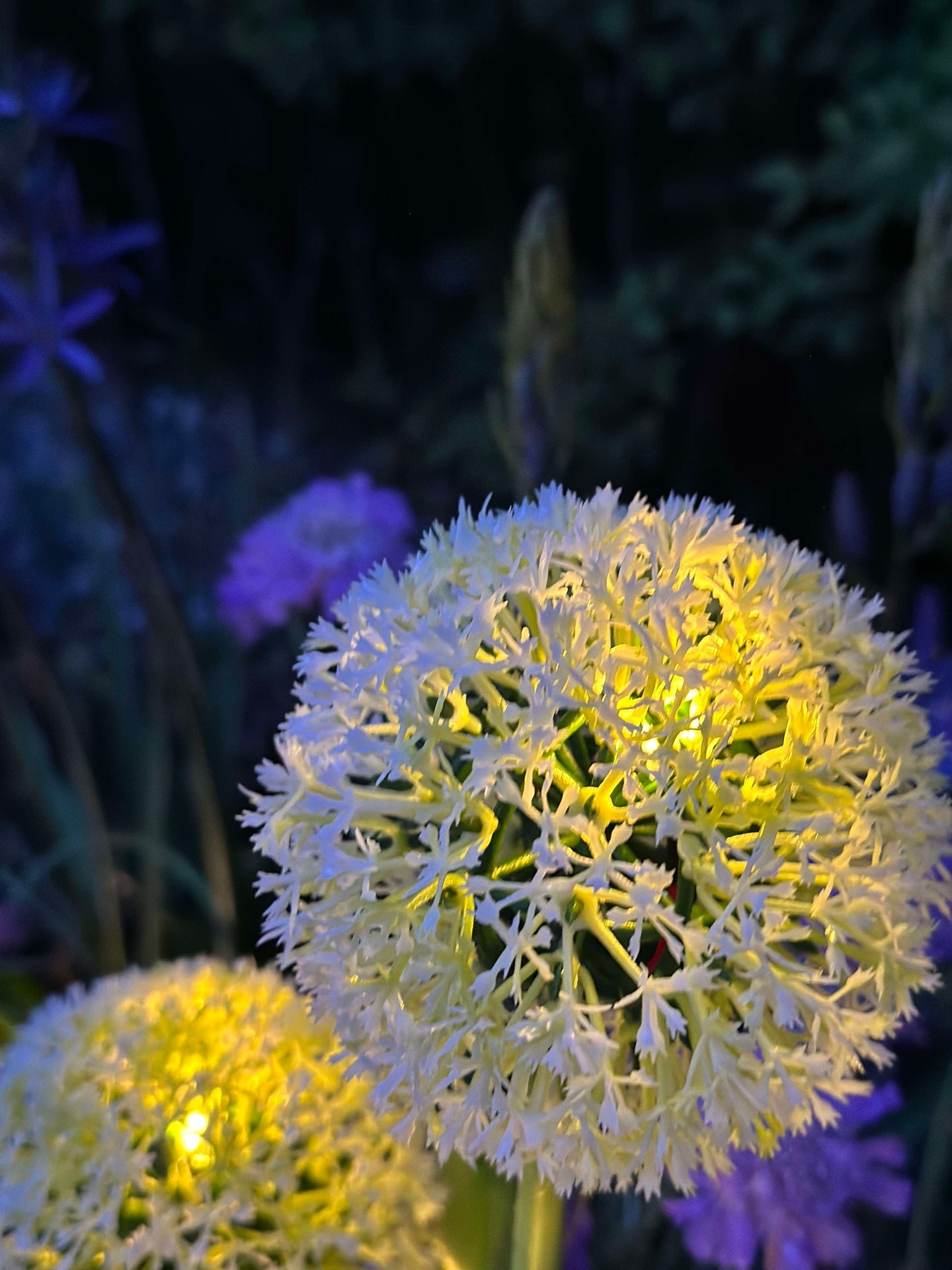 Dekorativ lök med solceller