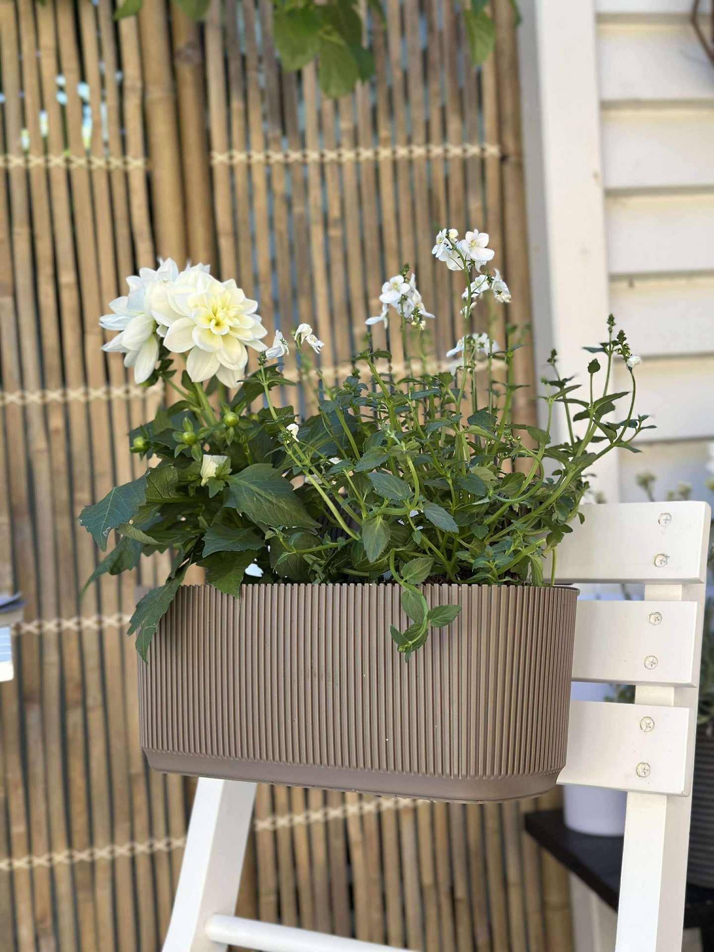 Planteringslåda med upphängning - Beige