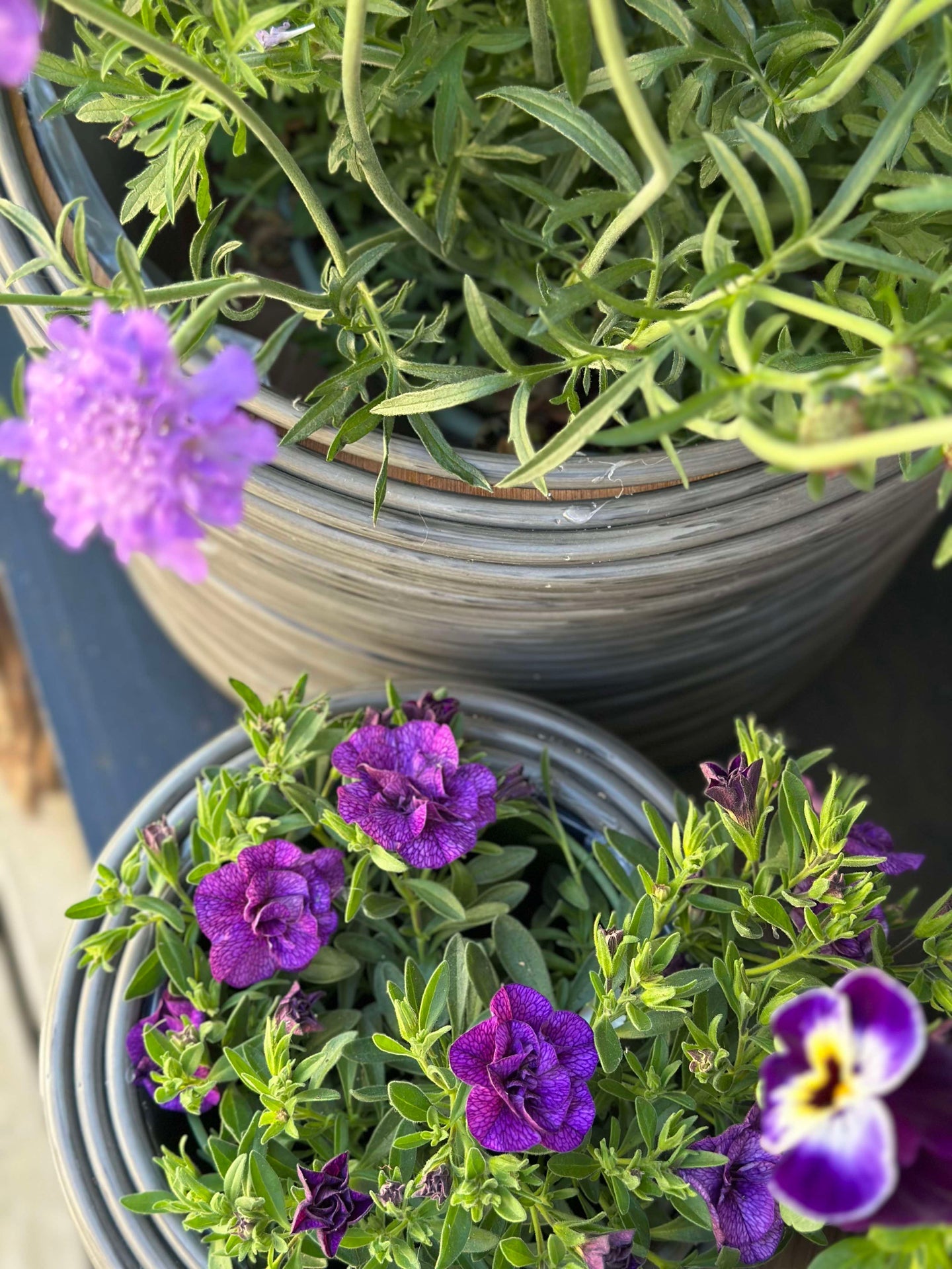 Växtkorg Grå - Set om 3 st.