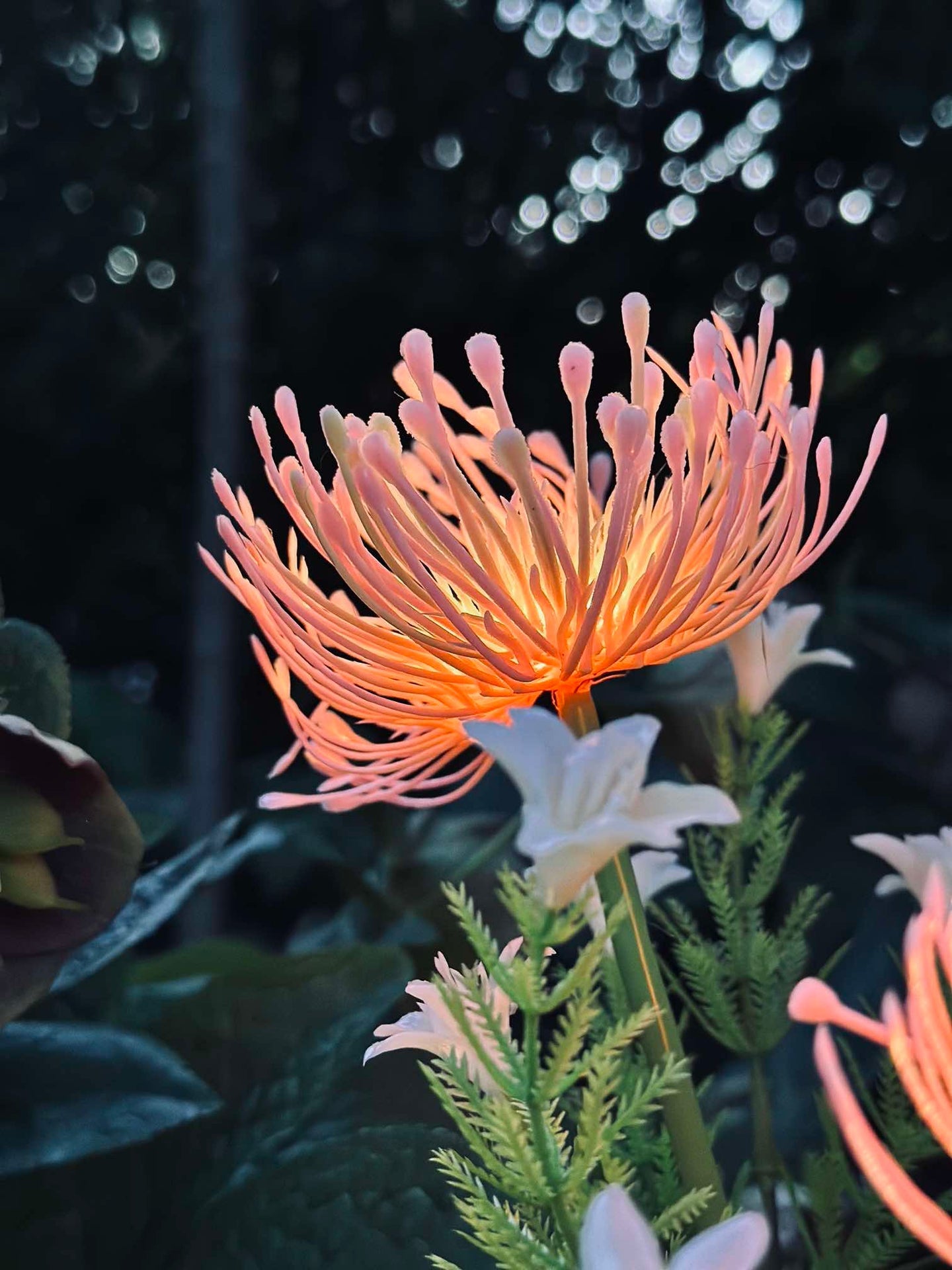 Blomma med solceller - Spider Lili rosa