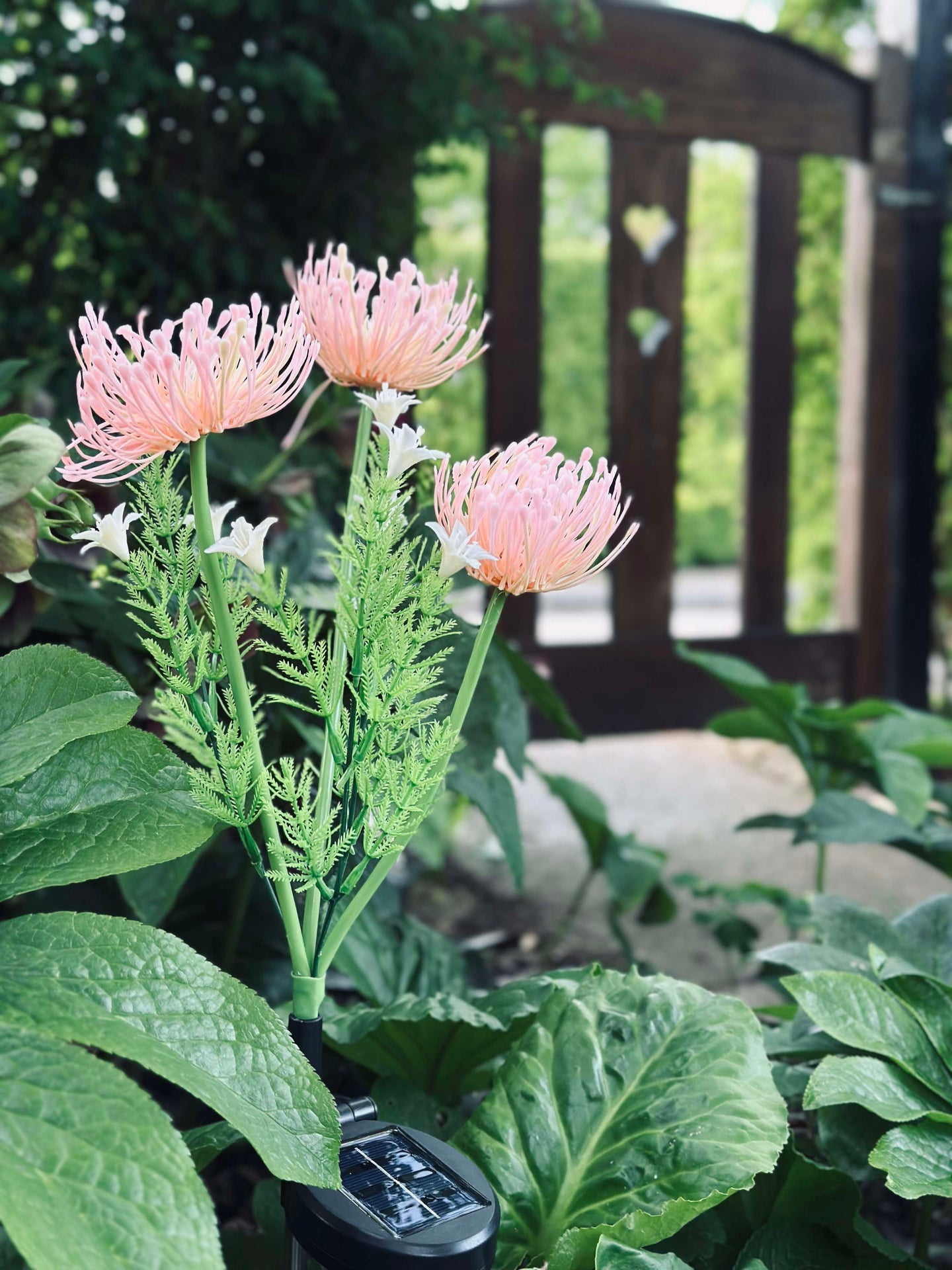 Solcellsblomma - Spindellilja ros