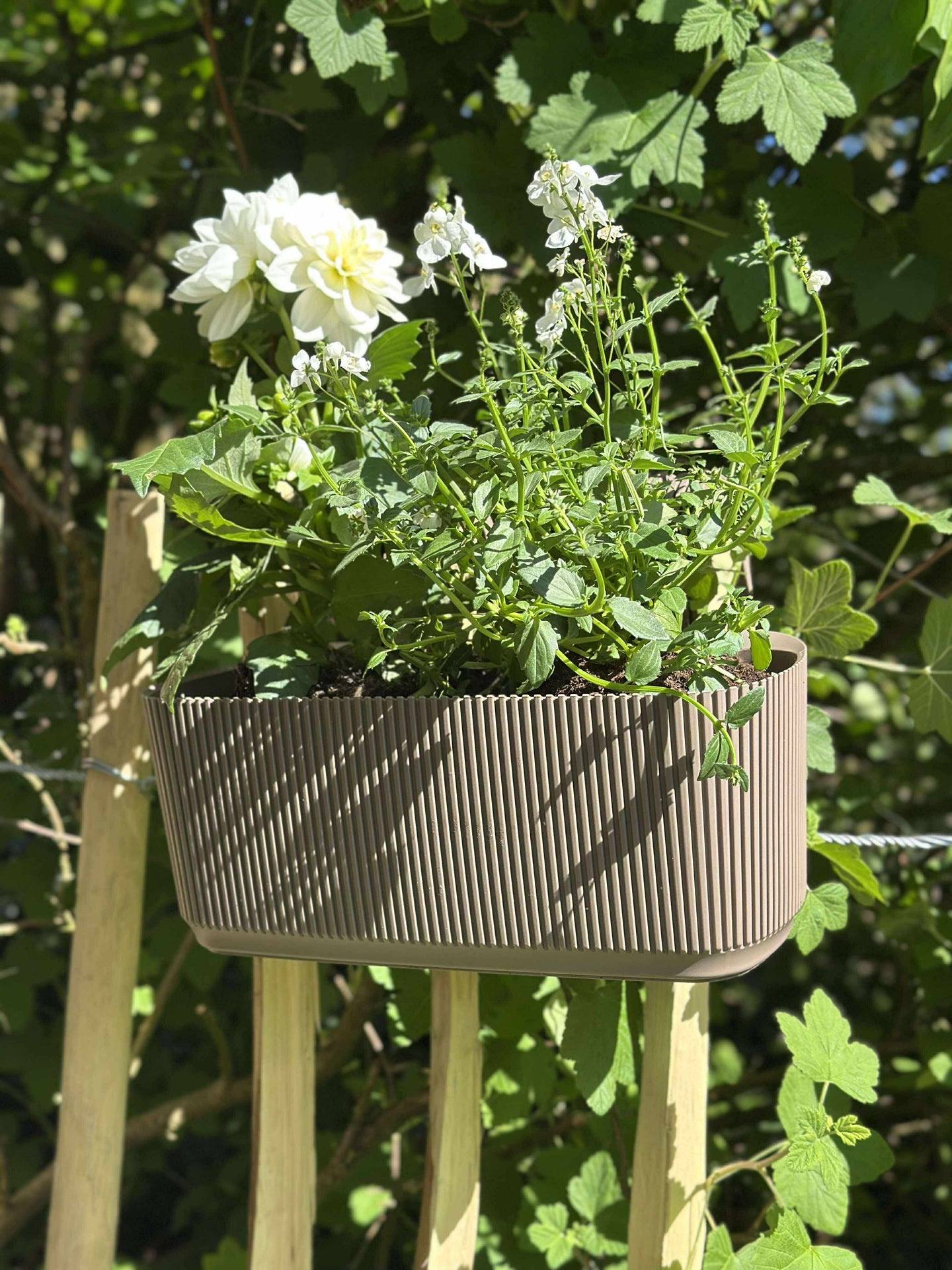 Planteringslåda med upphängning - Beige