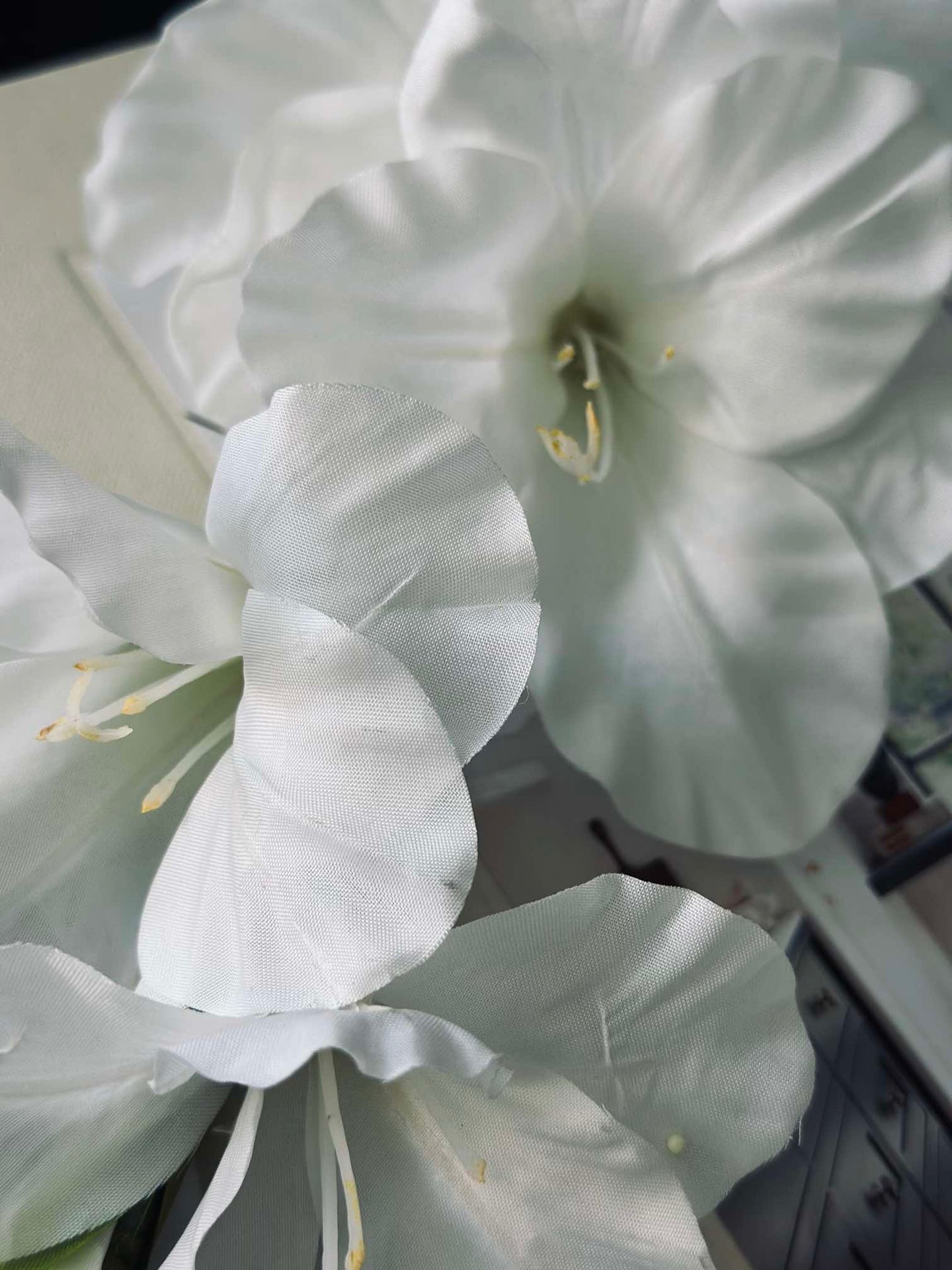 Gladiolusstjälk