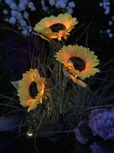 Solros med solceller