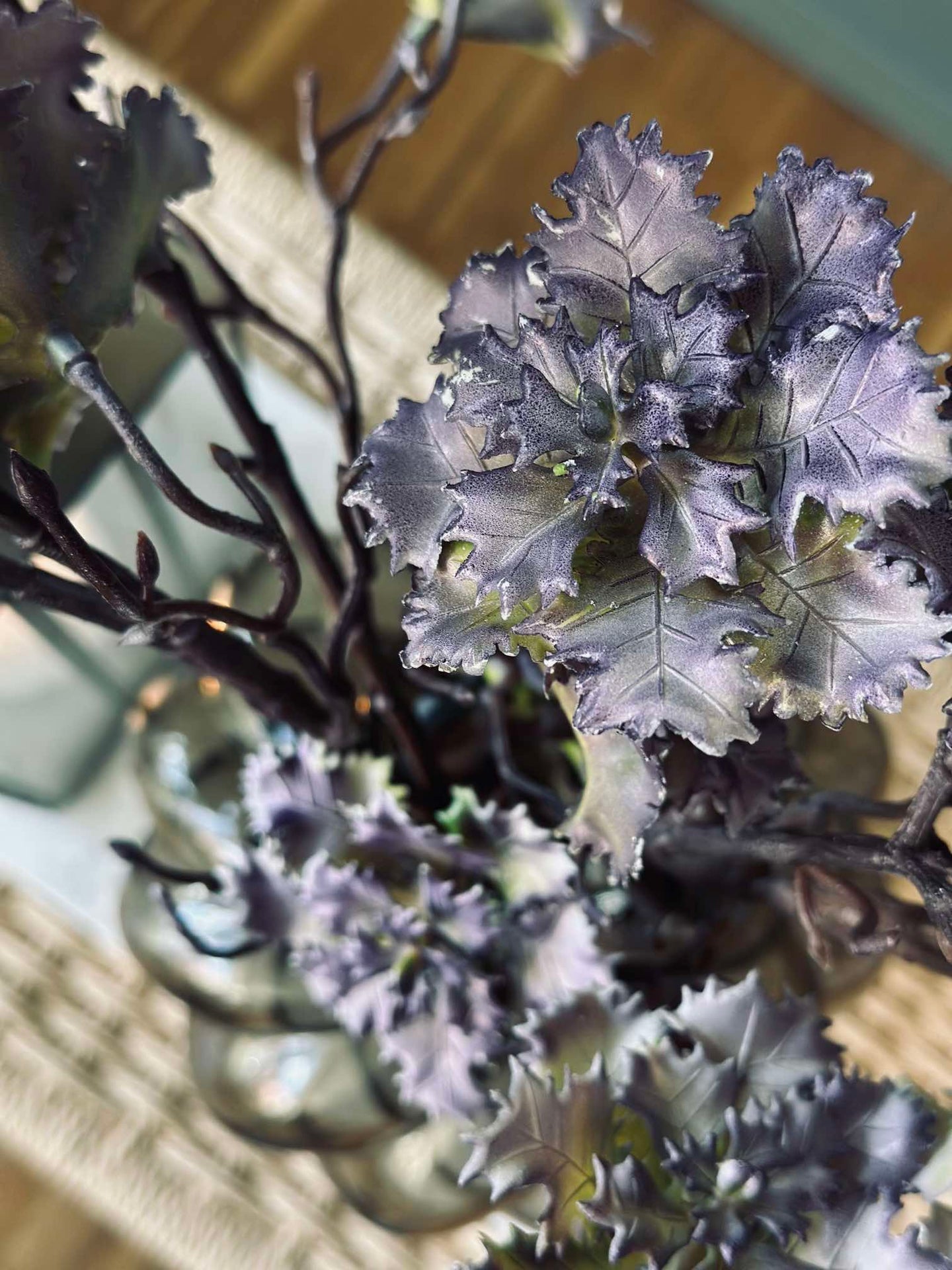 Blomma nejlika
