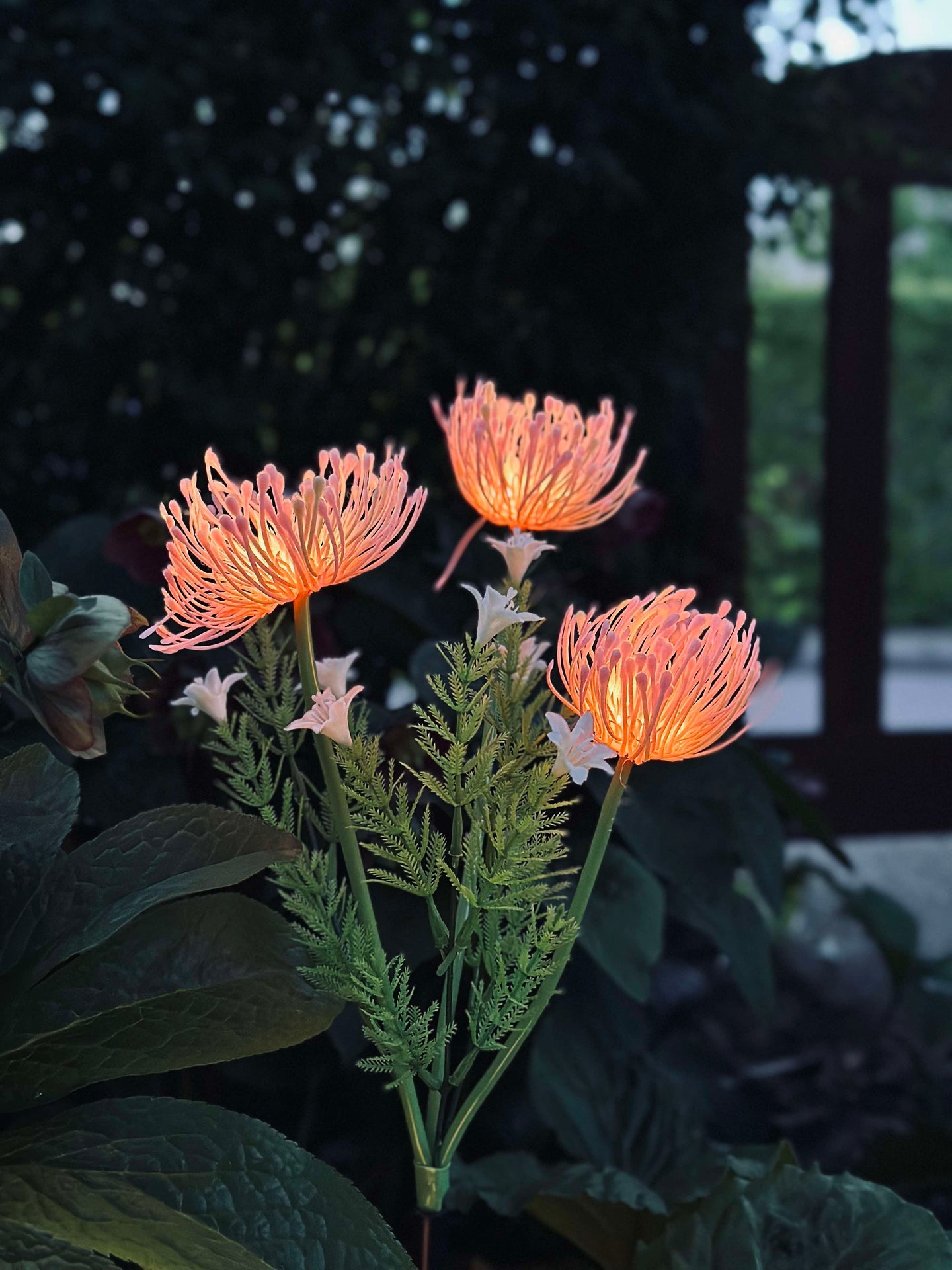 Solcellsblomma - Spindellilja ros