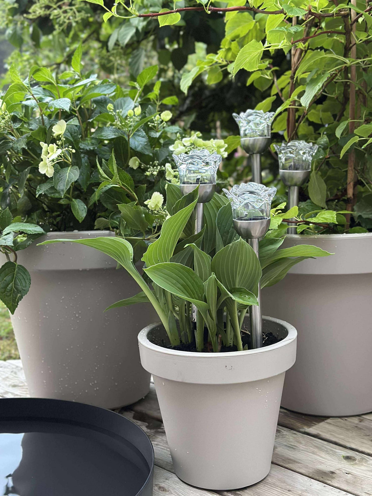 Fackla med solceller FLOWER – Set med 4 st