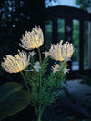 Blomma med solceller - Spider Lili vit