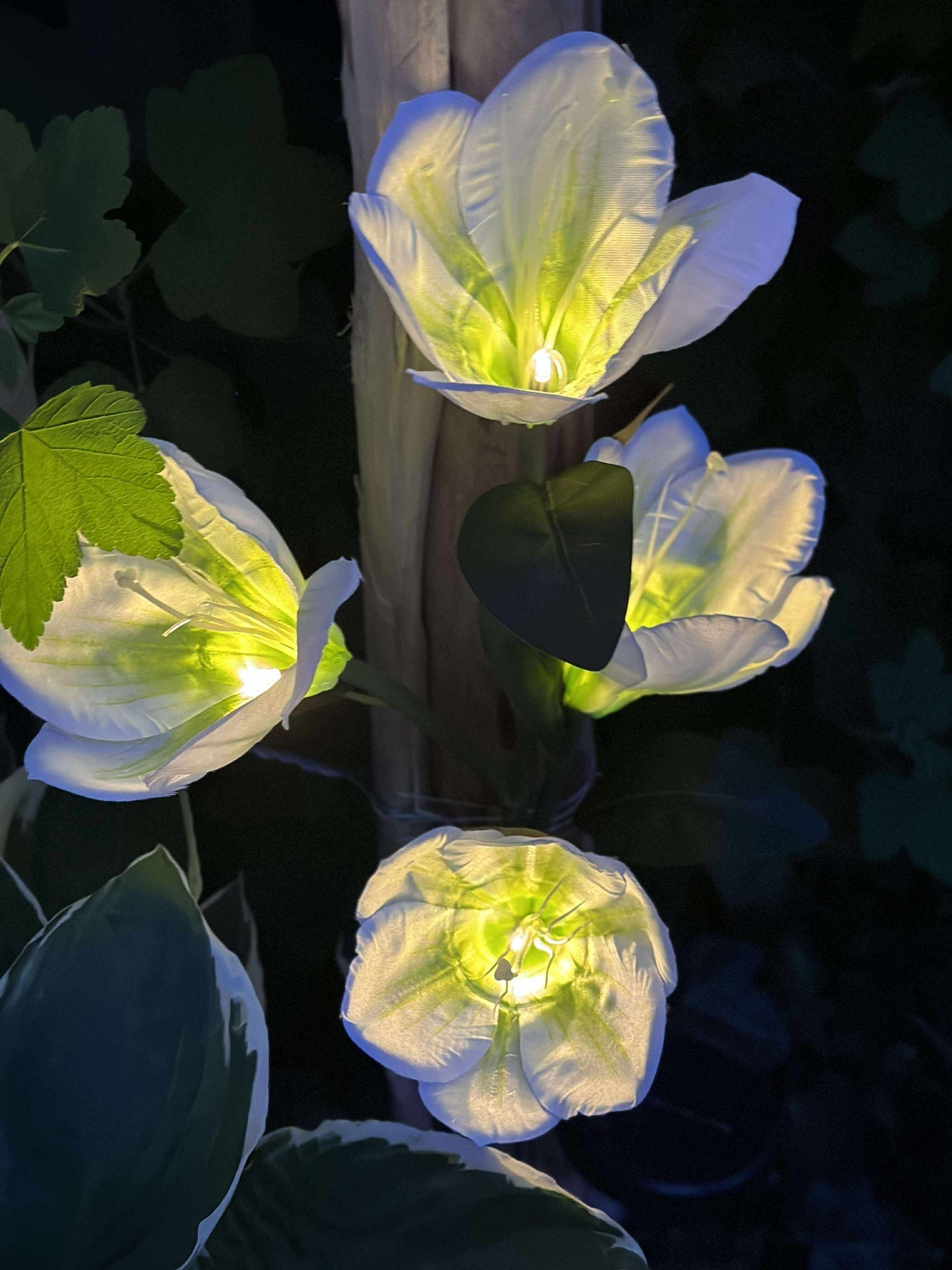 Magnolia med solceller - Vit