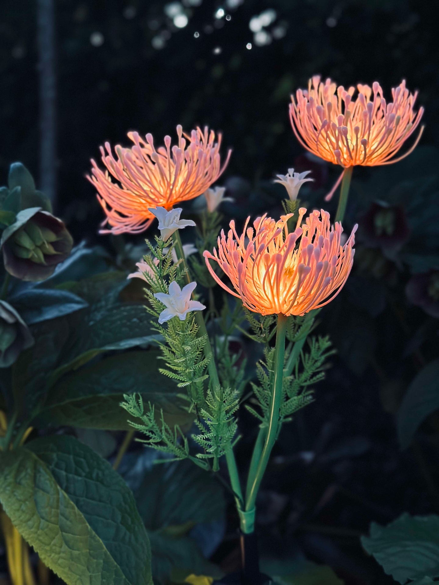 Solcellsblomma - Spindellilja ros