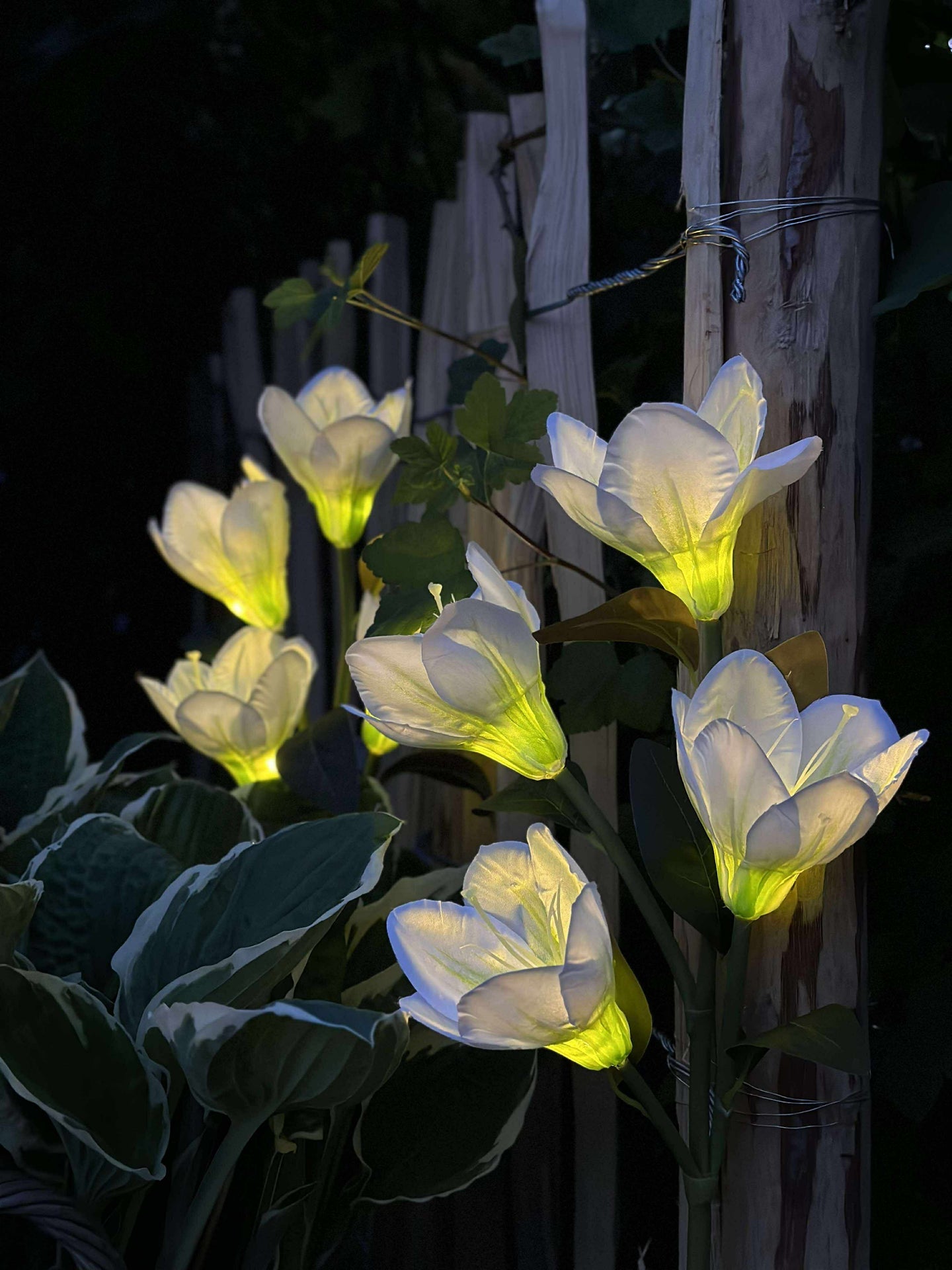 Magnolia med solceller - Vit