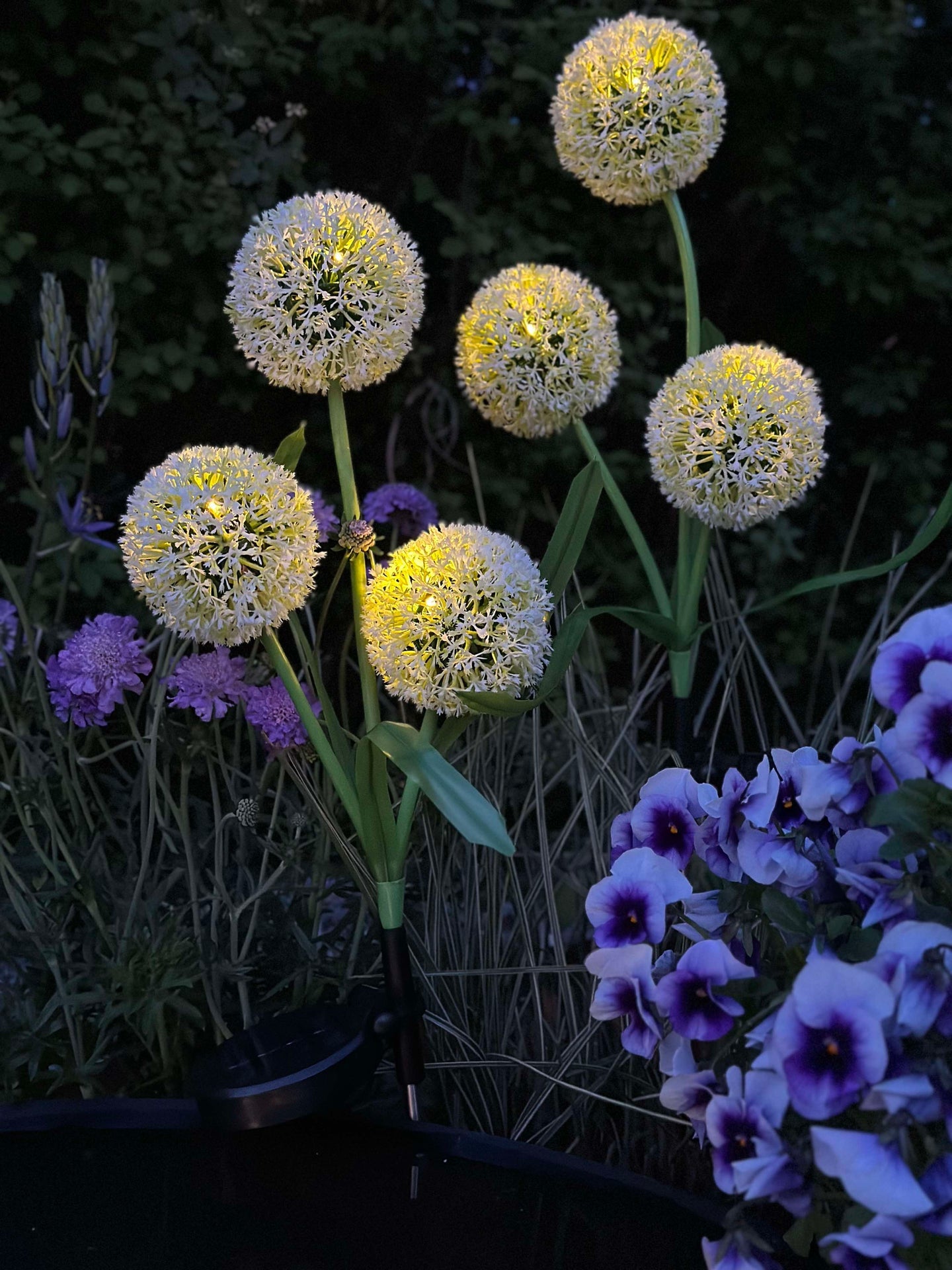 Dekorativ lök med solceller