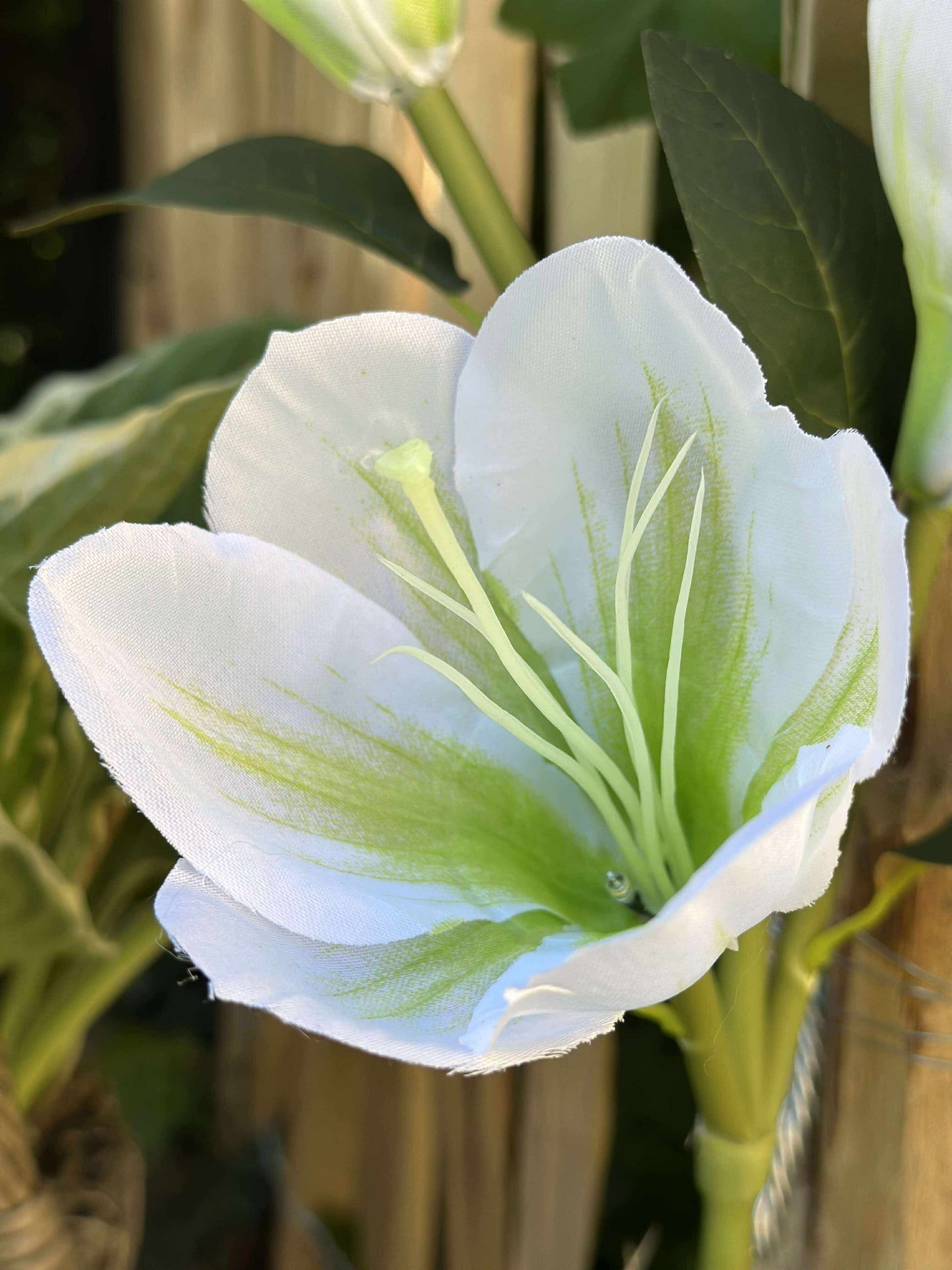 Magnolia med solceller - Vit
