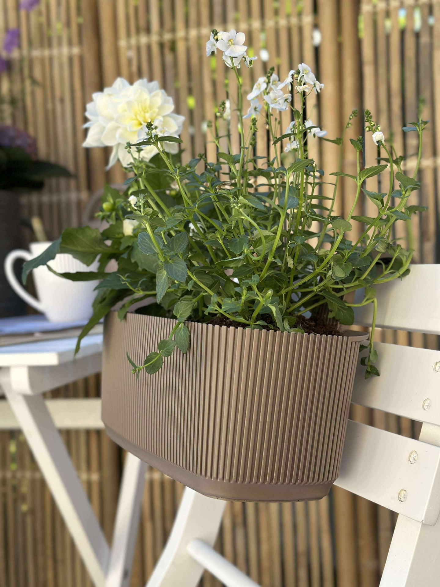 Planteringslåda med upphängning - Beige
