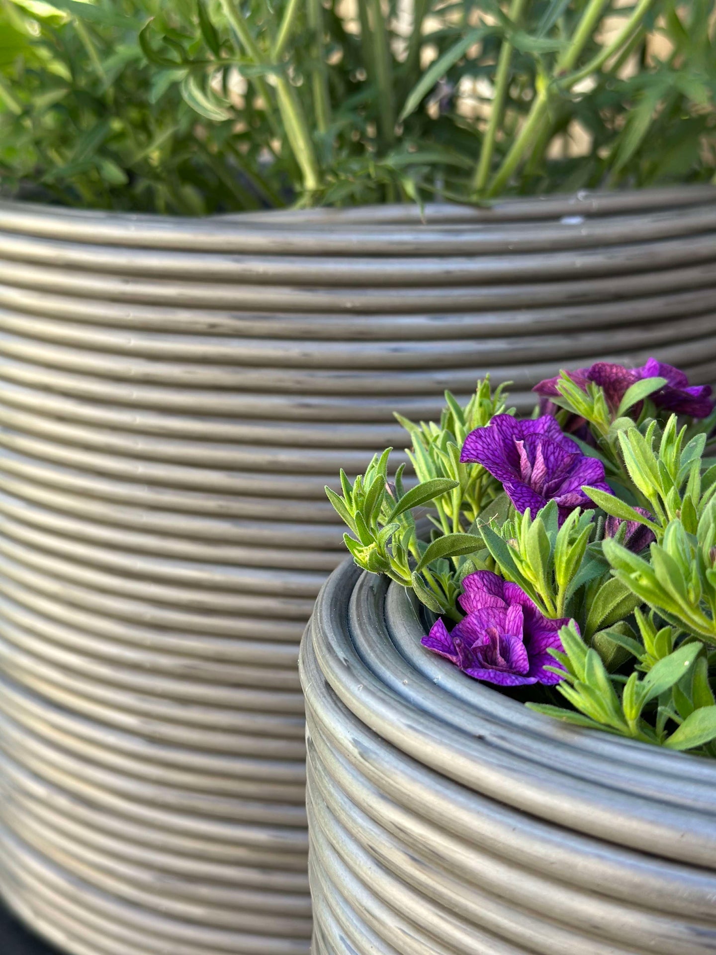 Växtkorg Grå - Set om 3 st.