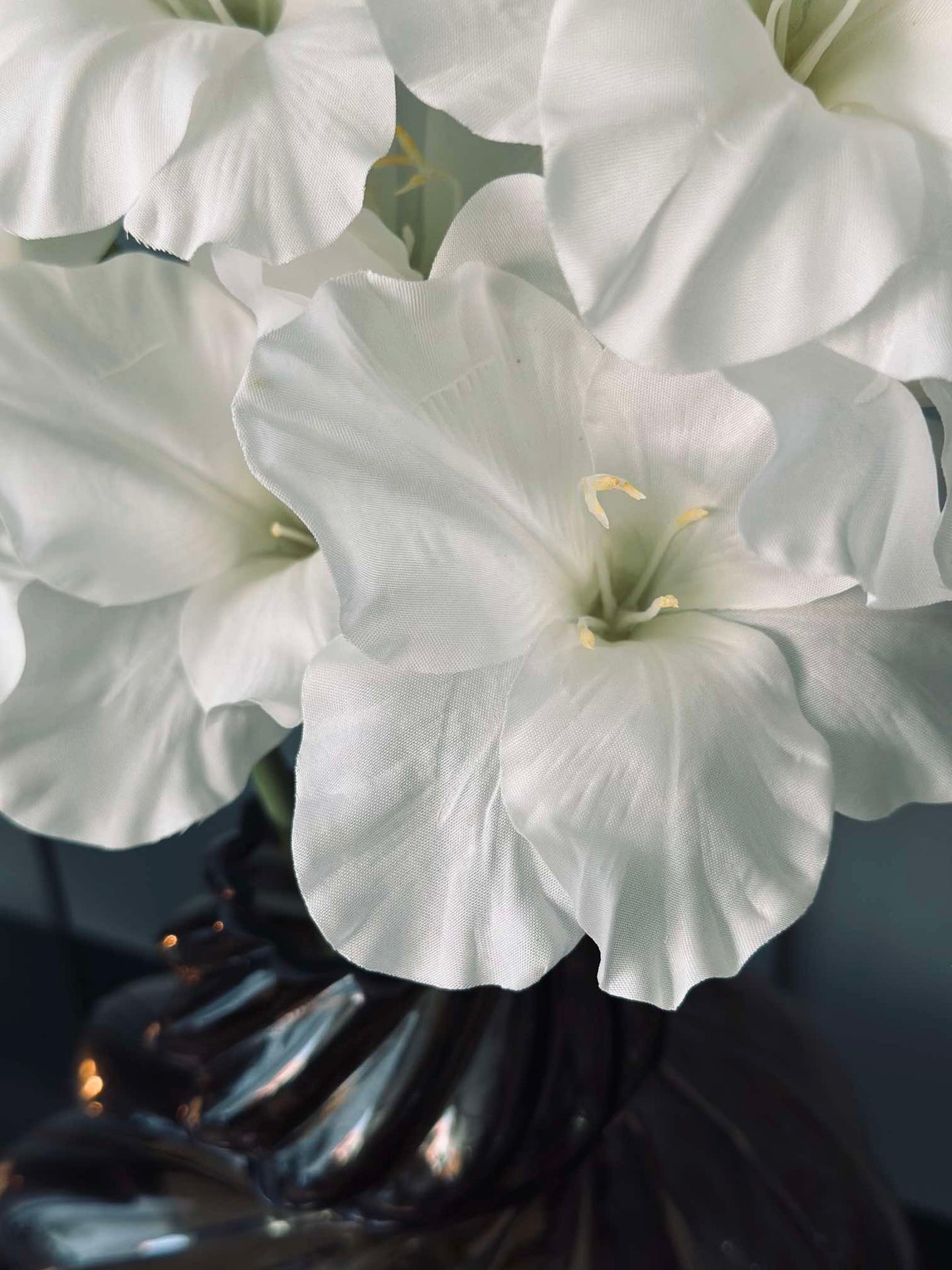 Gladiolusstjälk