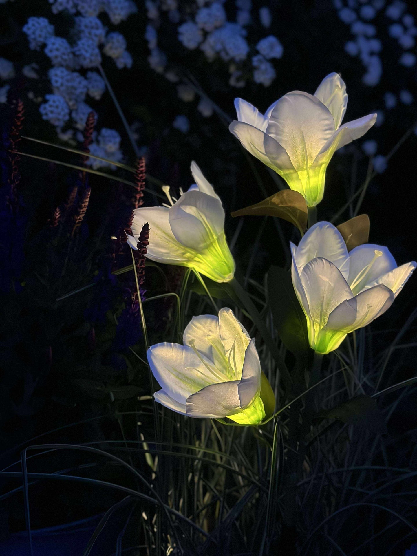 Magnolia med solceller - Vit