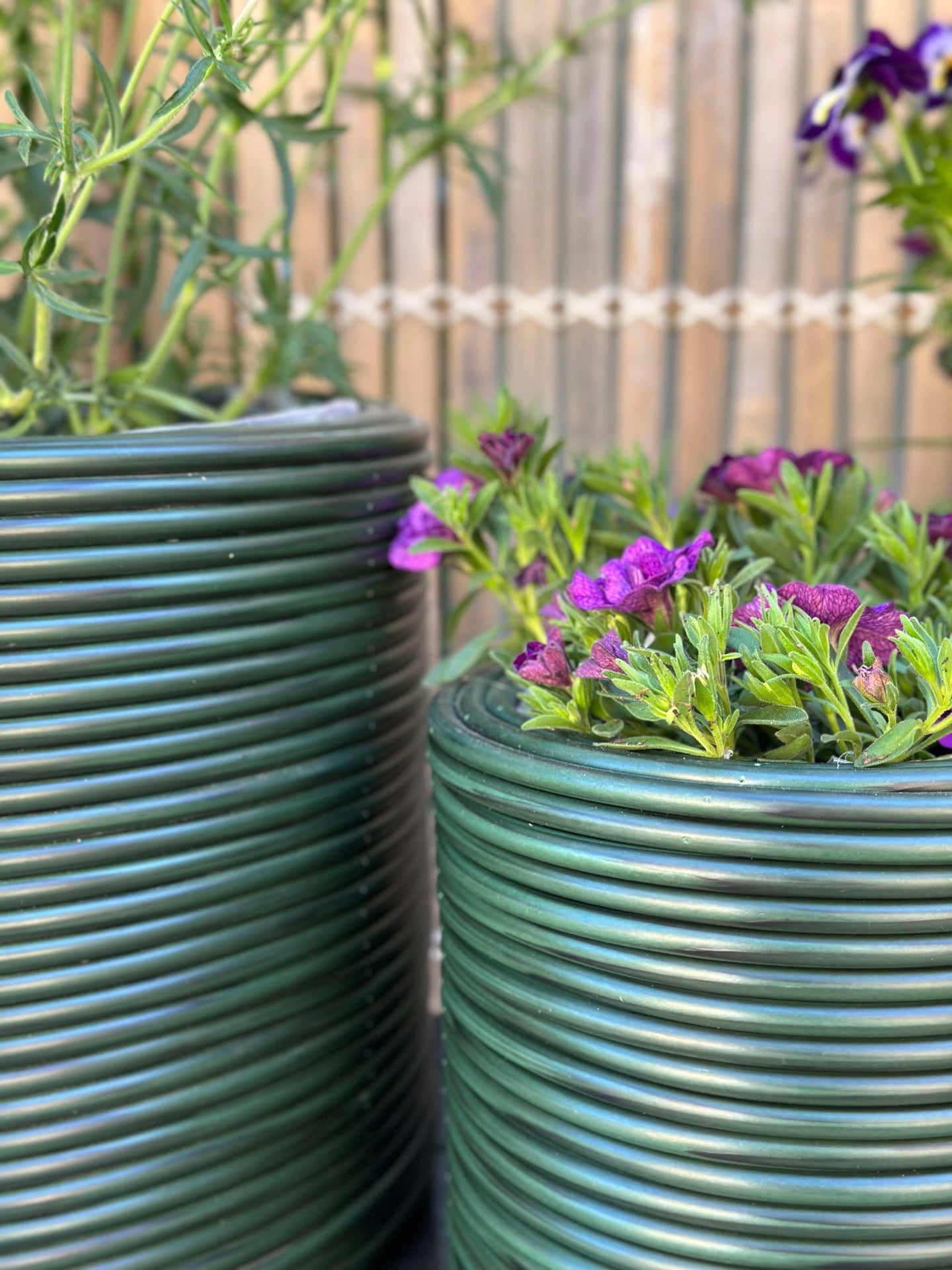 Grön Växtkorg - Set om 3 st.