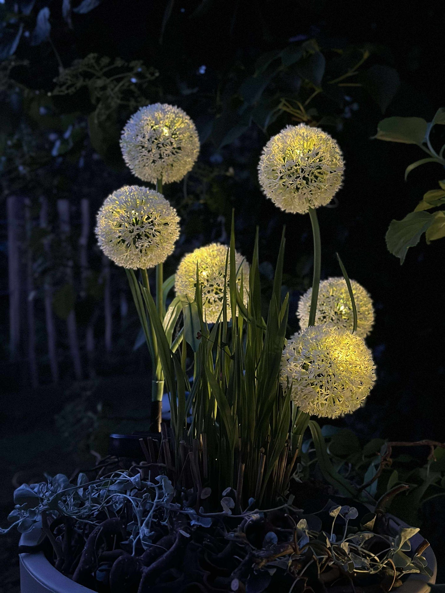 Dekorativ lök med solceller